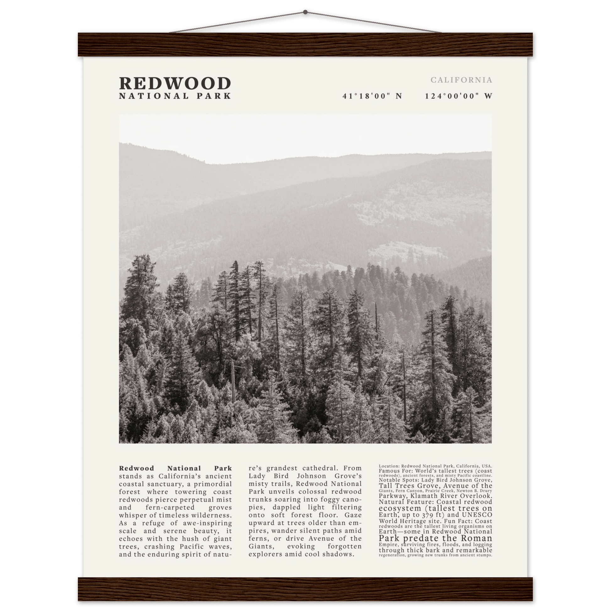 Redwood National Park Poster Black and White – Vintage Foggy Redwood Forest Print - Evergreen Posters