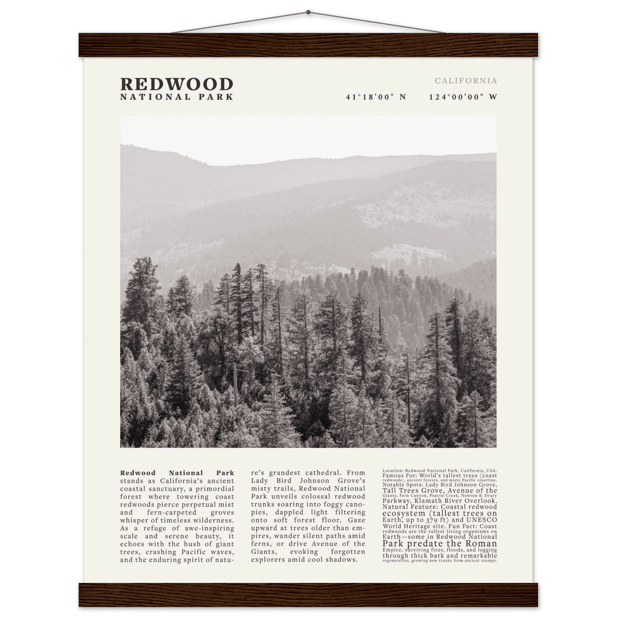 Redwood National Park Poster Black and White – Vintage Foggy Redwood Forest Print - Evergreen Posters