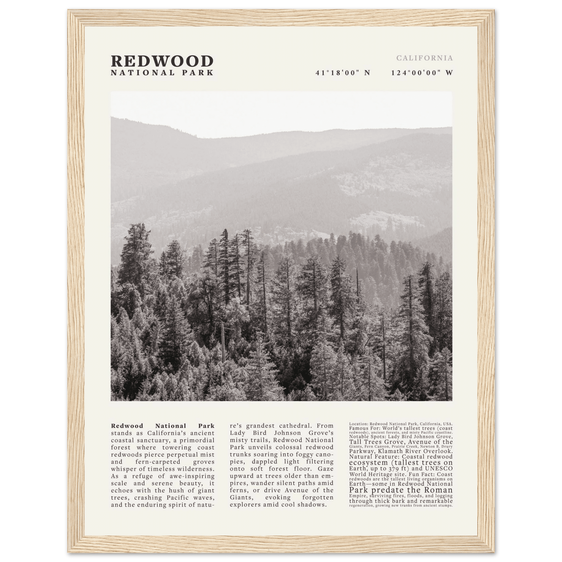 Redwood National Park Poster Black and White – Vintage Foggy Redwood Forest Print - Evergreen Posters