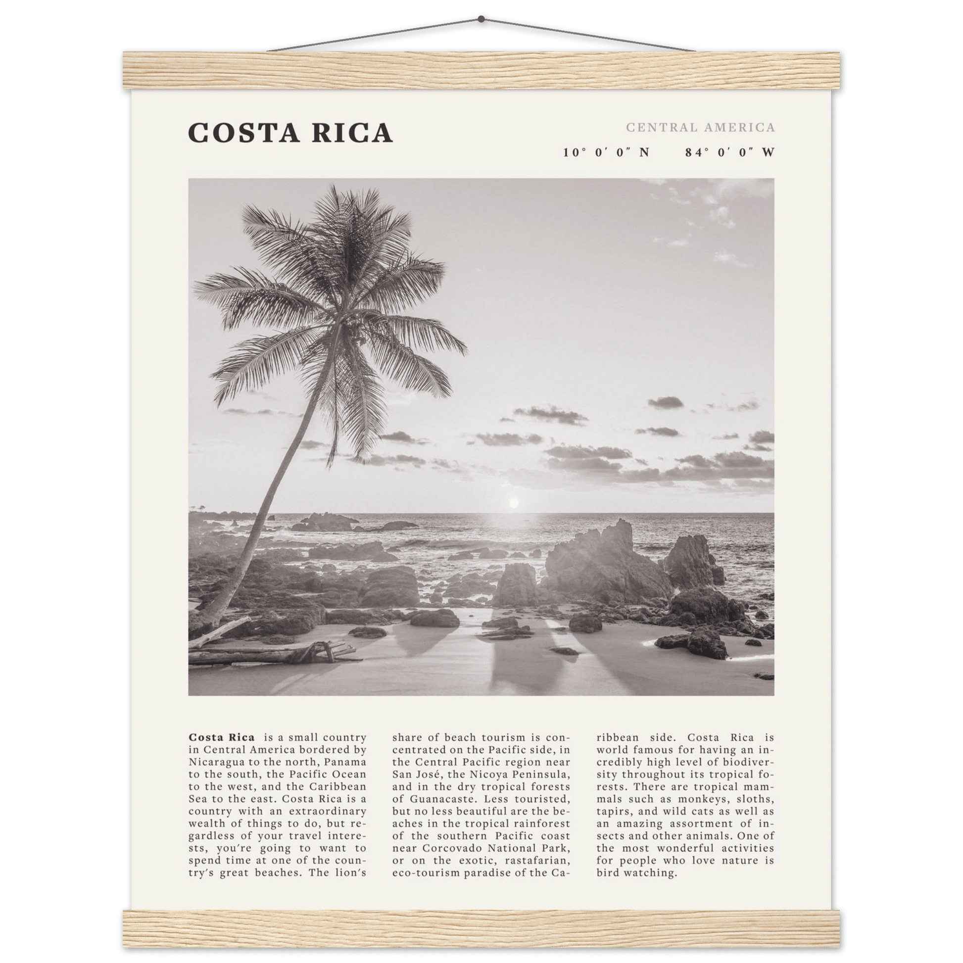 Costa Rica Poster | Black & White Palm Tree Beach Wall Art | Travel Print Decor - Evergreen Posters