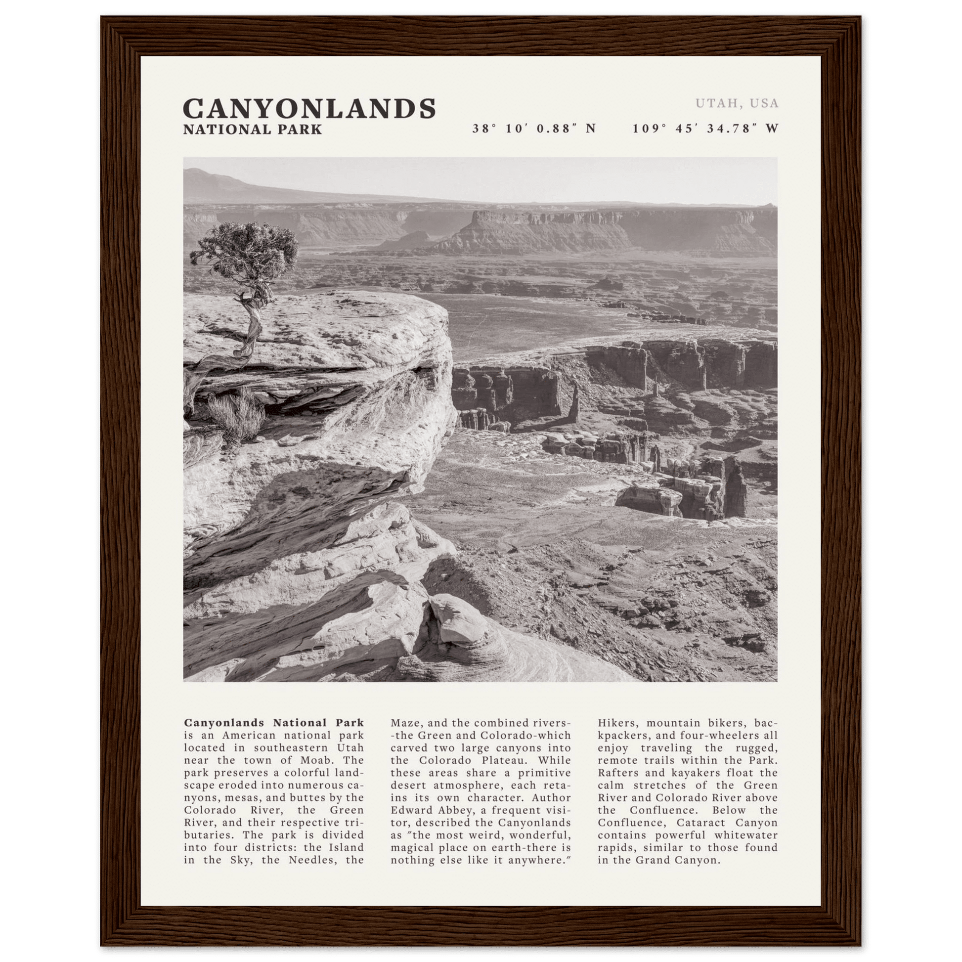 Canyonlands National Park Poster | Black & White Utah Wall Art | Canyon Travel Print - Evergreen Posters