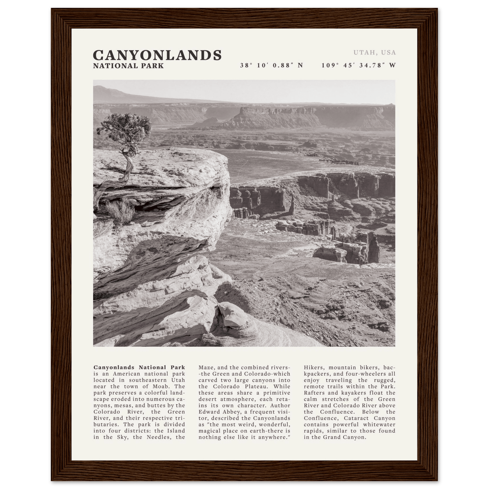 Canyonlands National Park Poster | Black & White Utah Wall Art | Canyon Travel Print - Evergreen Posters