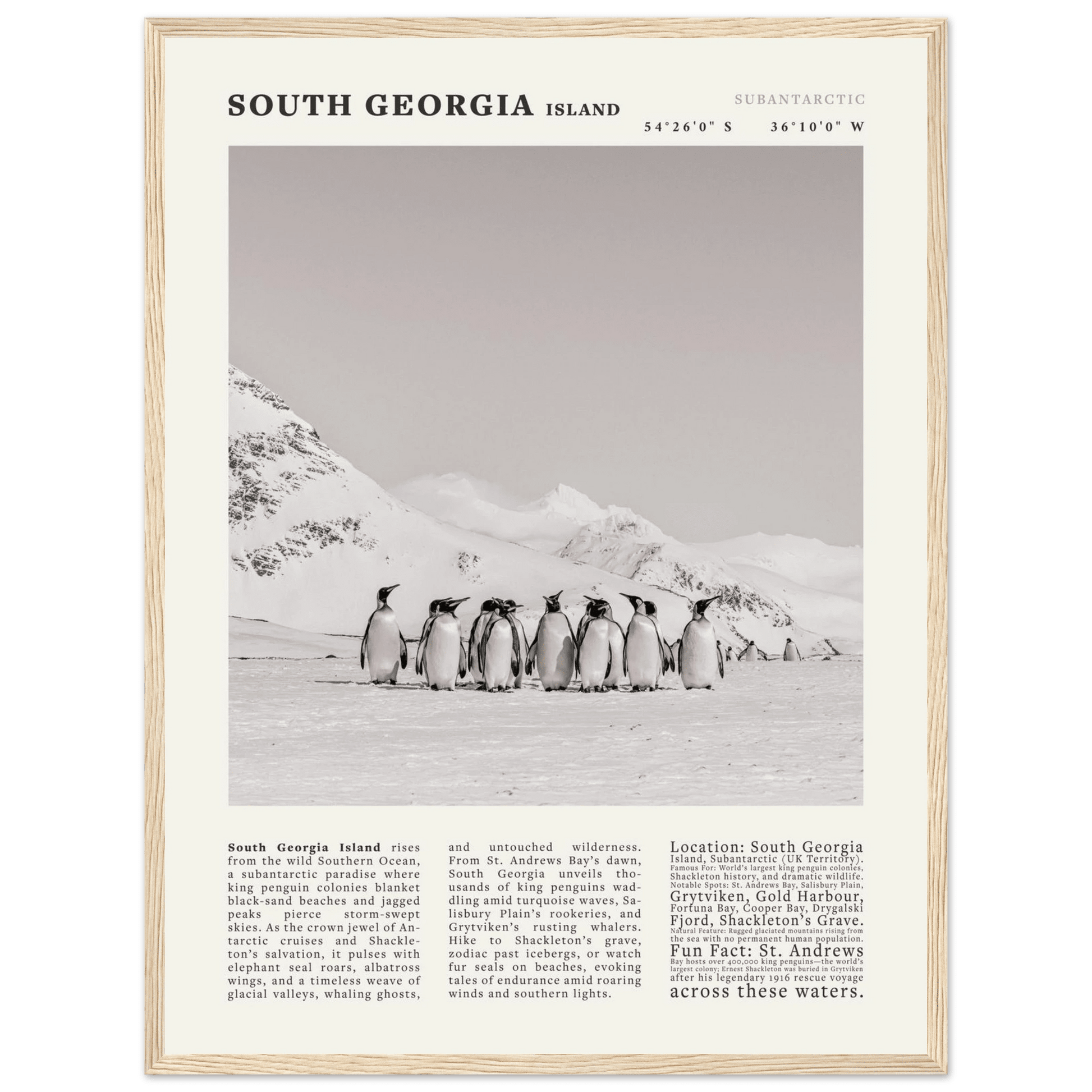 South Georgia Island Black and White Vintage Poster - Evergreen Posters
