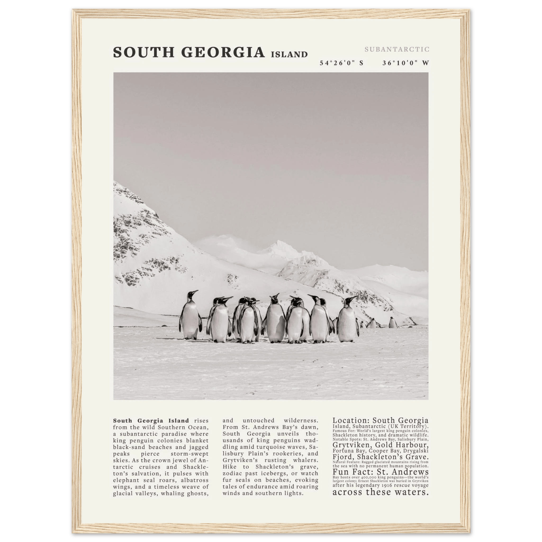 South Georgia Island Black and White Vintage Poster - Evergreen Posters