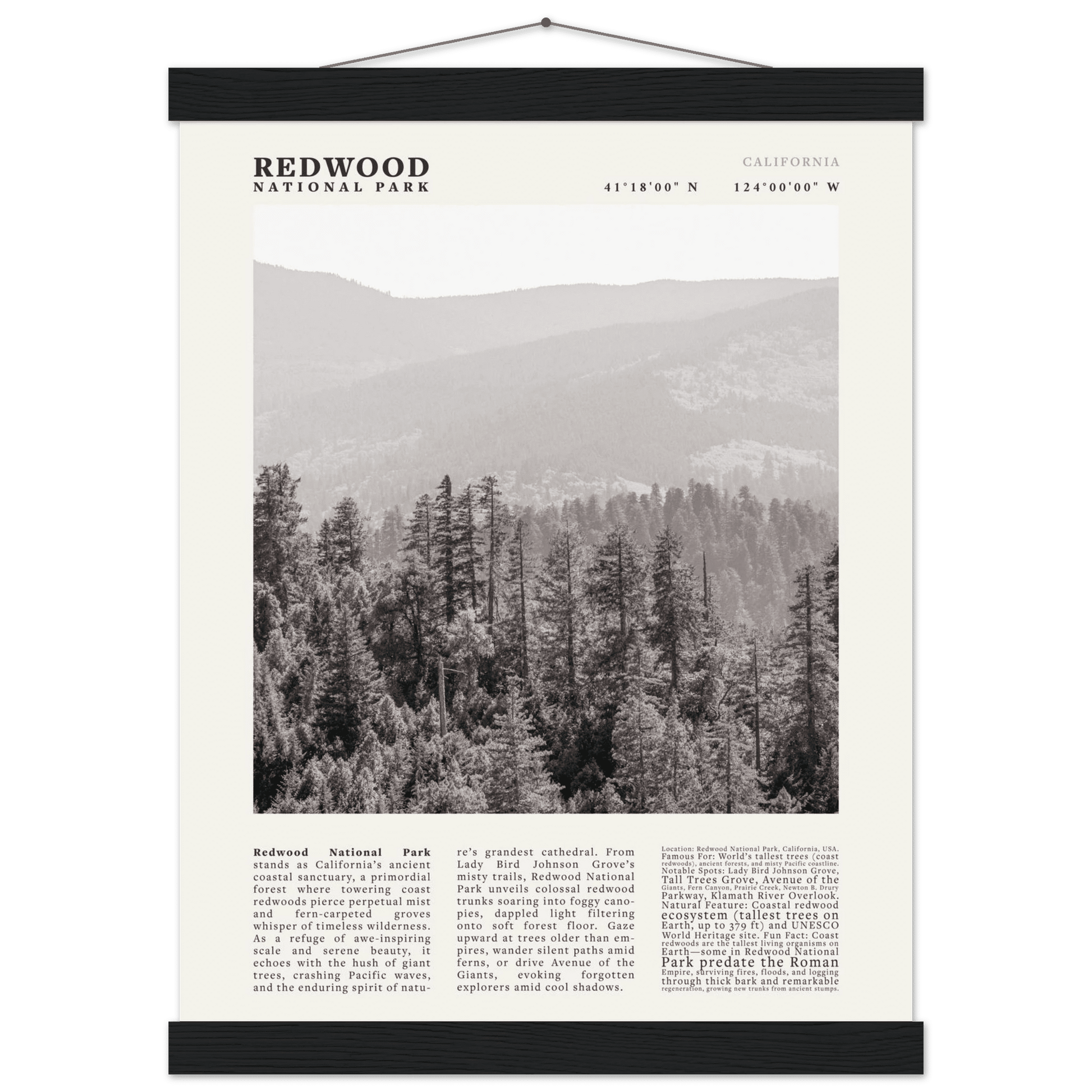 Redwood National Park Poster Black and White – Vintage Foggy Redwood Forest Print - Evergreen Posters