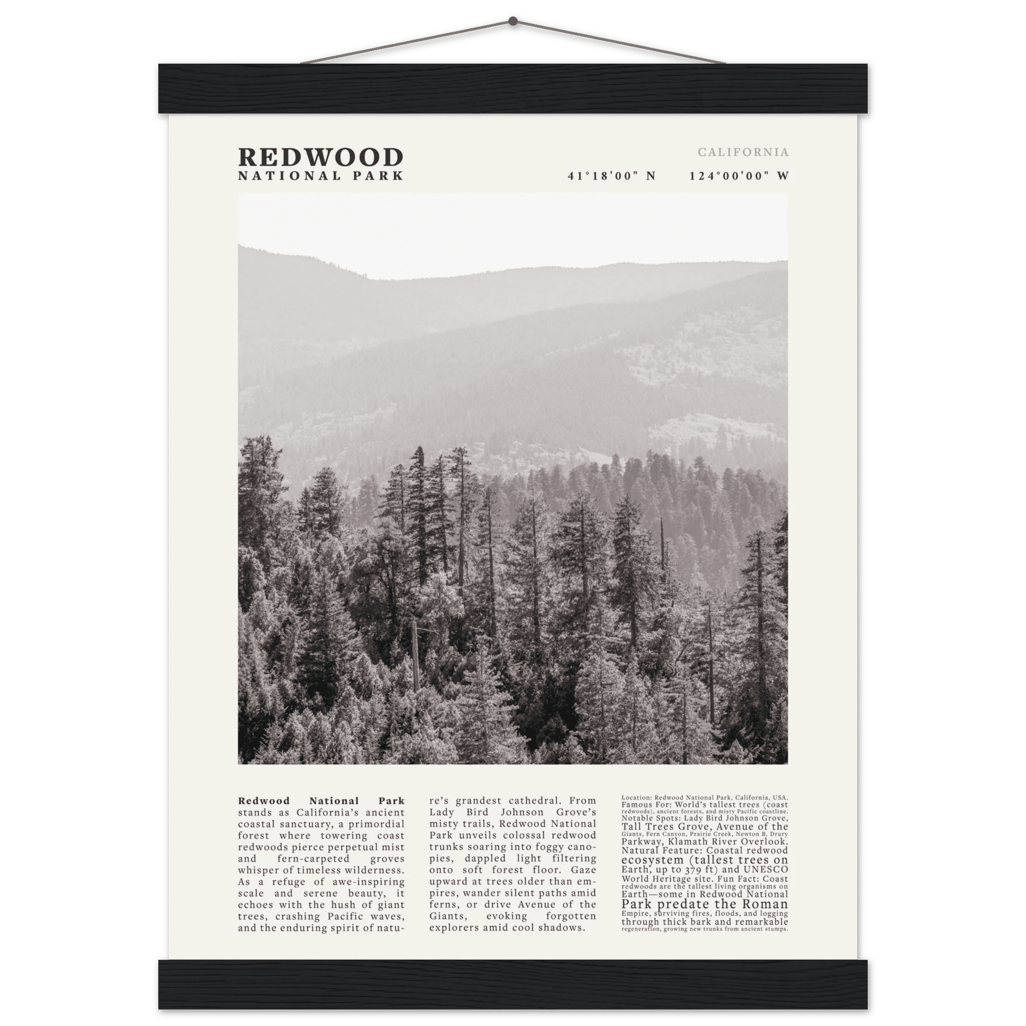 Redwood National Park Poster Black and White – Vintage Foggy Redwood Forest Print - Evergreen Posters
