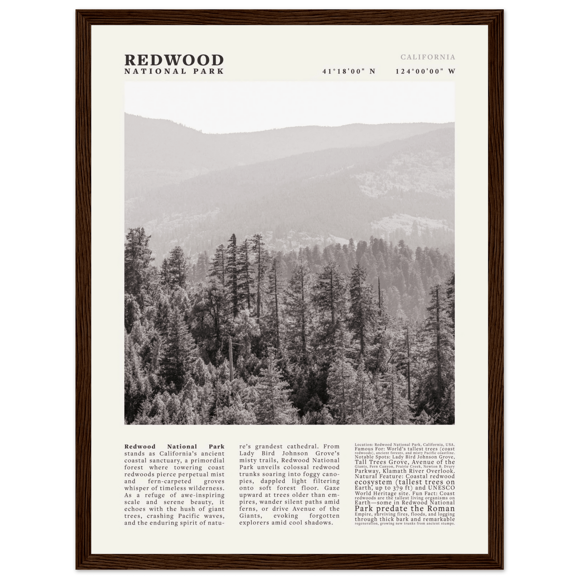 Redwood National Park Poster Black and White – Vintage Foggy Redwood Forest Print - Evergreen Posters