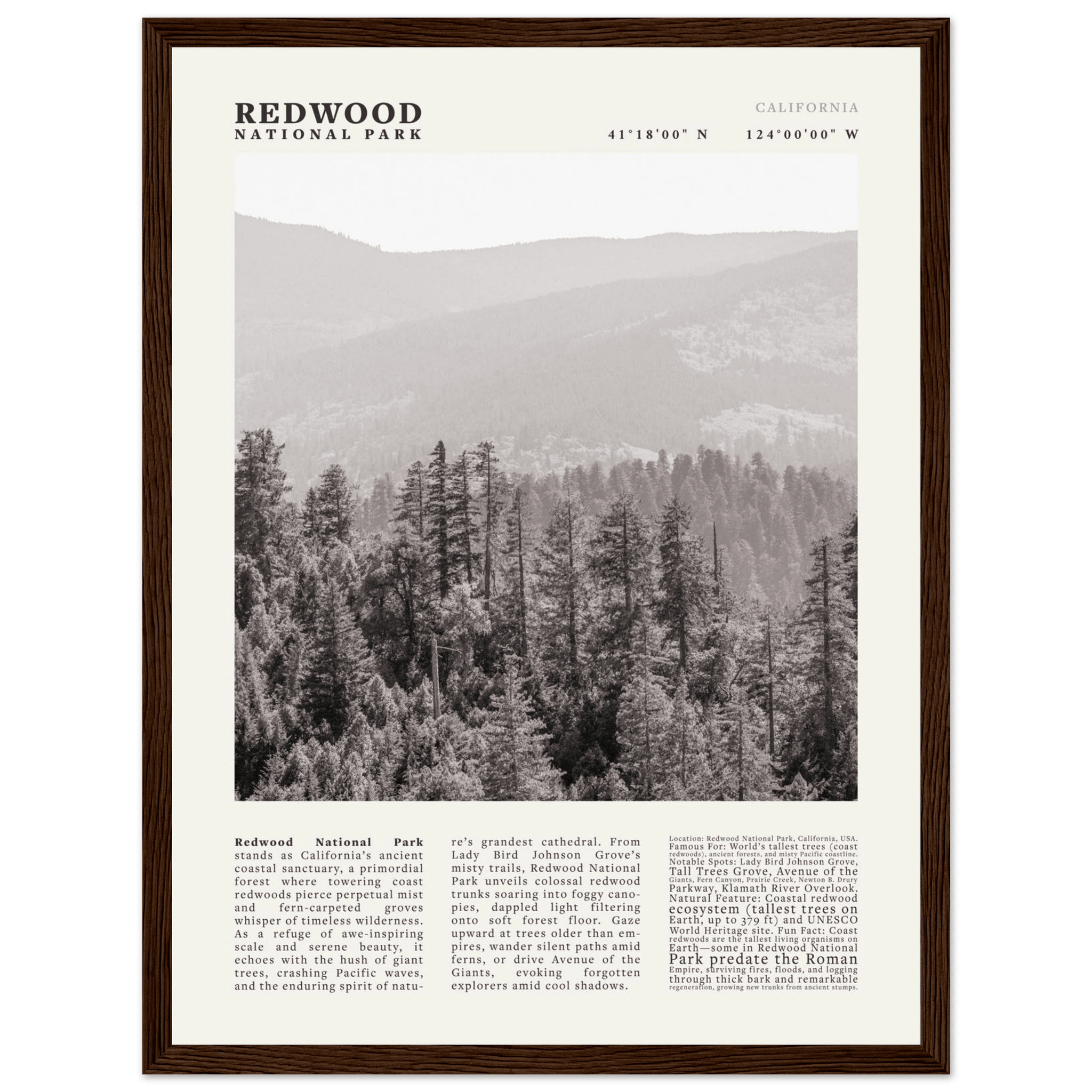 Redwood National Park Poster Black and White – Vintage Foggy Redwood Forest Print - Evergreen Posters