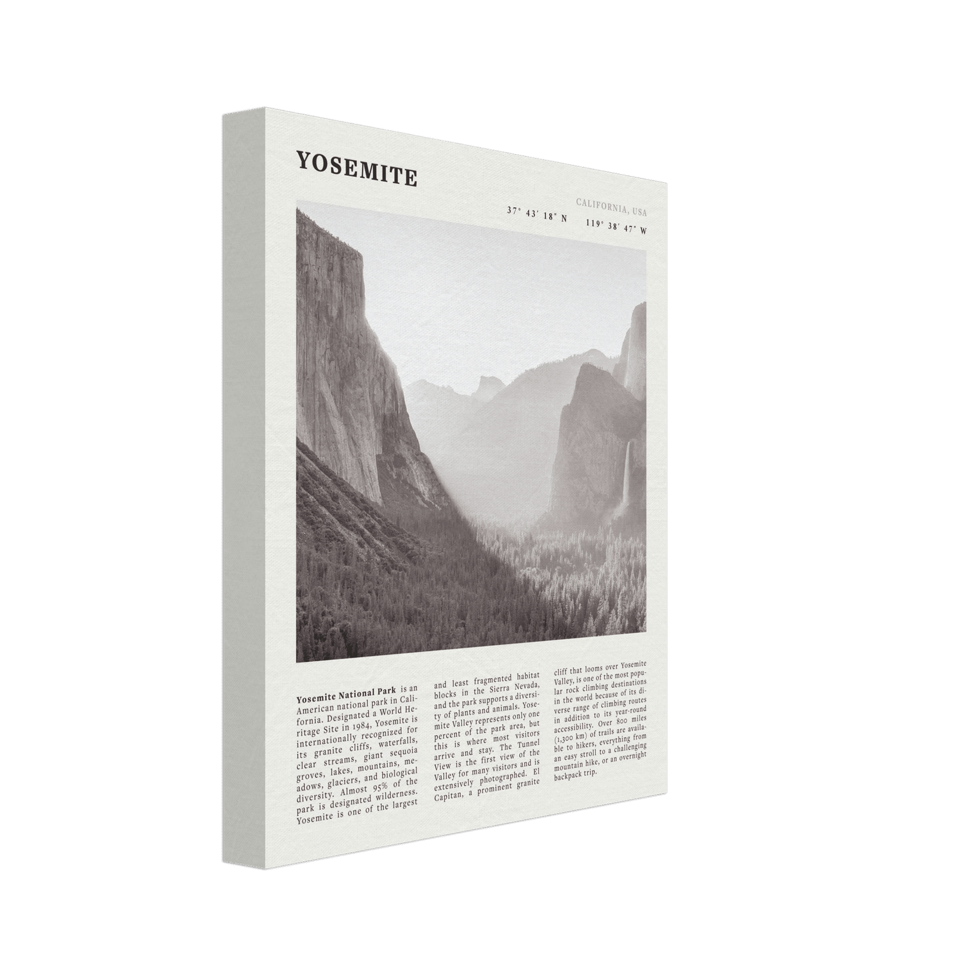 Yosemite Poster | Black & White National Park Wall Art | California Nature Print - Evergreen Posters