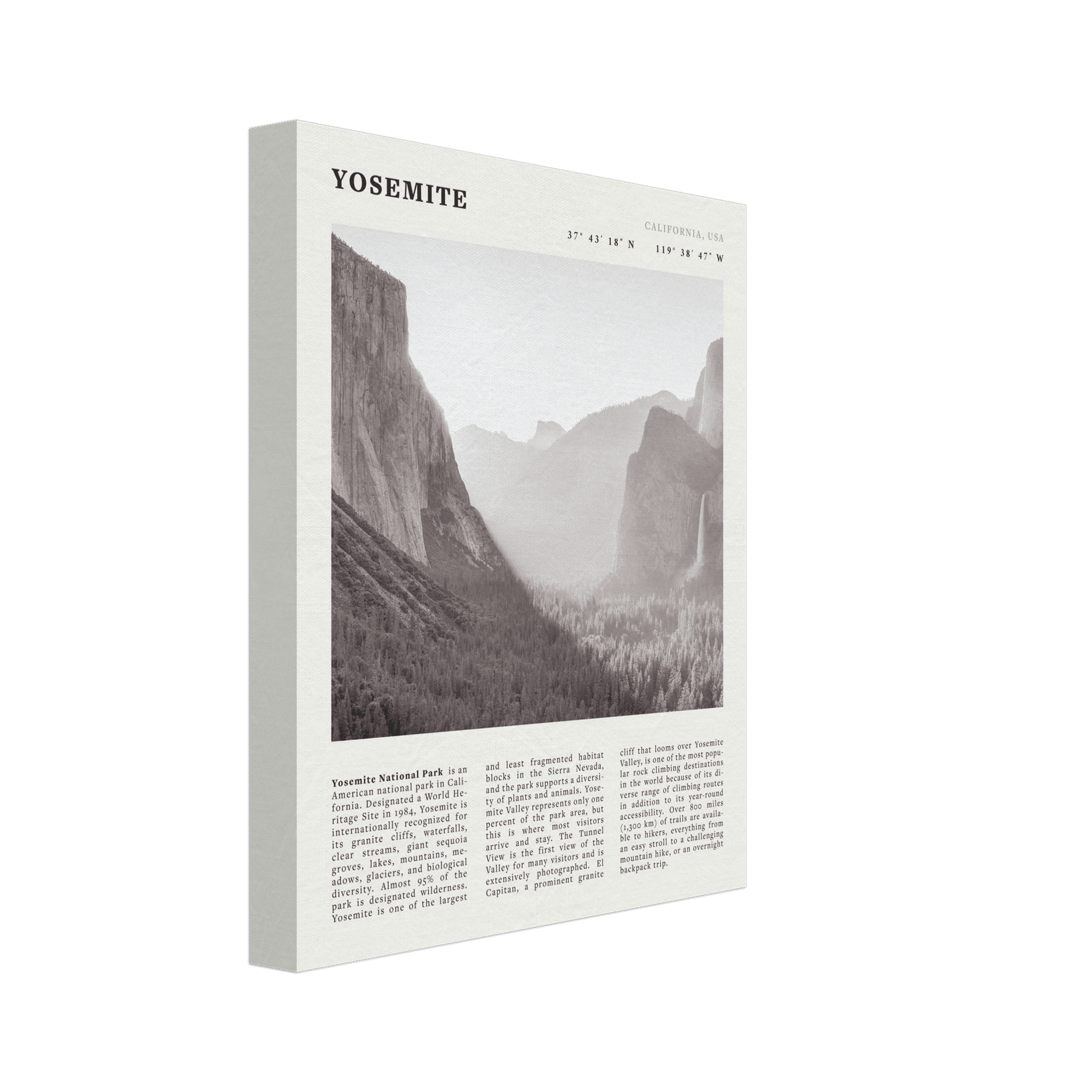 Yosemite Poster | Black & White National Park Wall Art | California Nature Print - Evergreen Posters