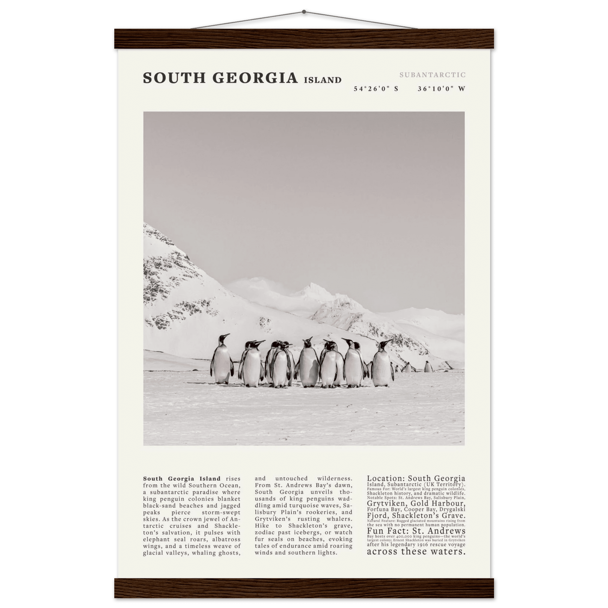 South Georgia Island Black and White Vintage Poster - Evergreen Posters
