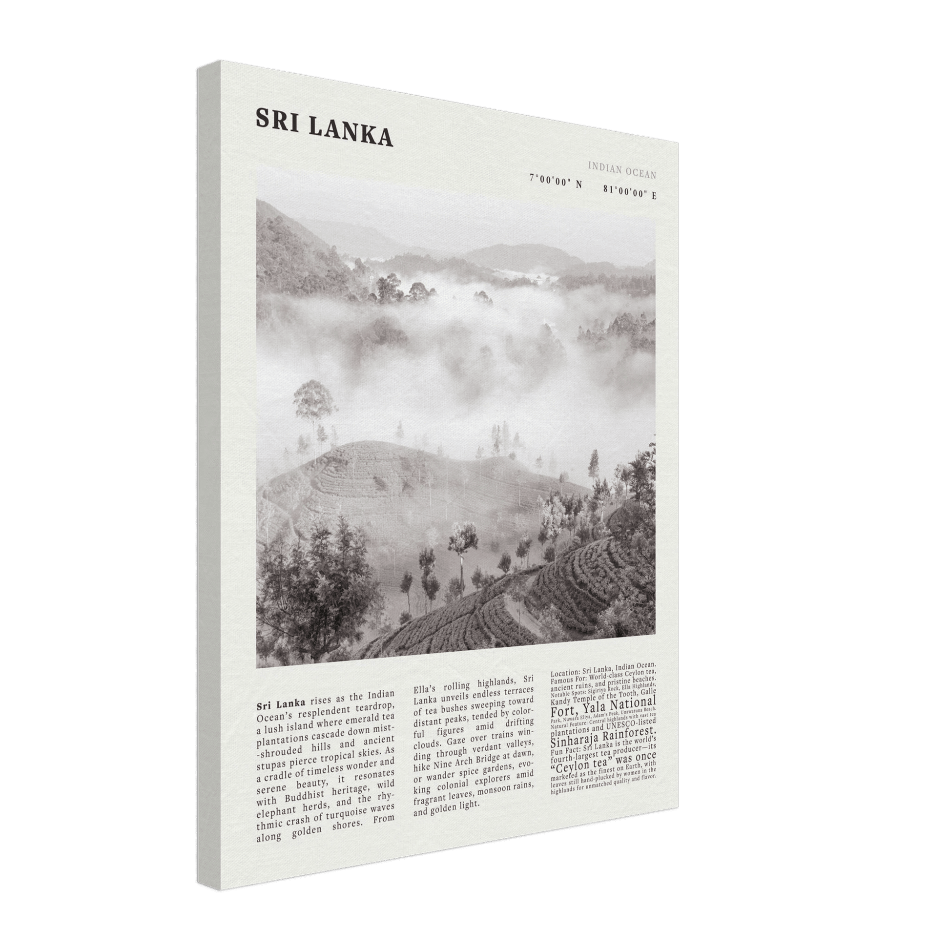 Sri Lanka Poster Black and White – Vintage Ceylon Tea Plantation Print (Digital & Printed Options) - Evergreen Posters