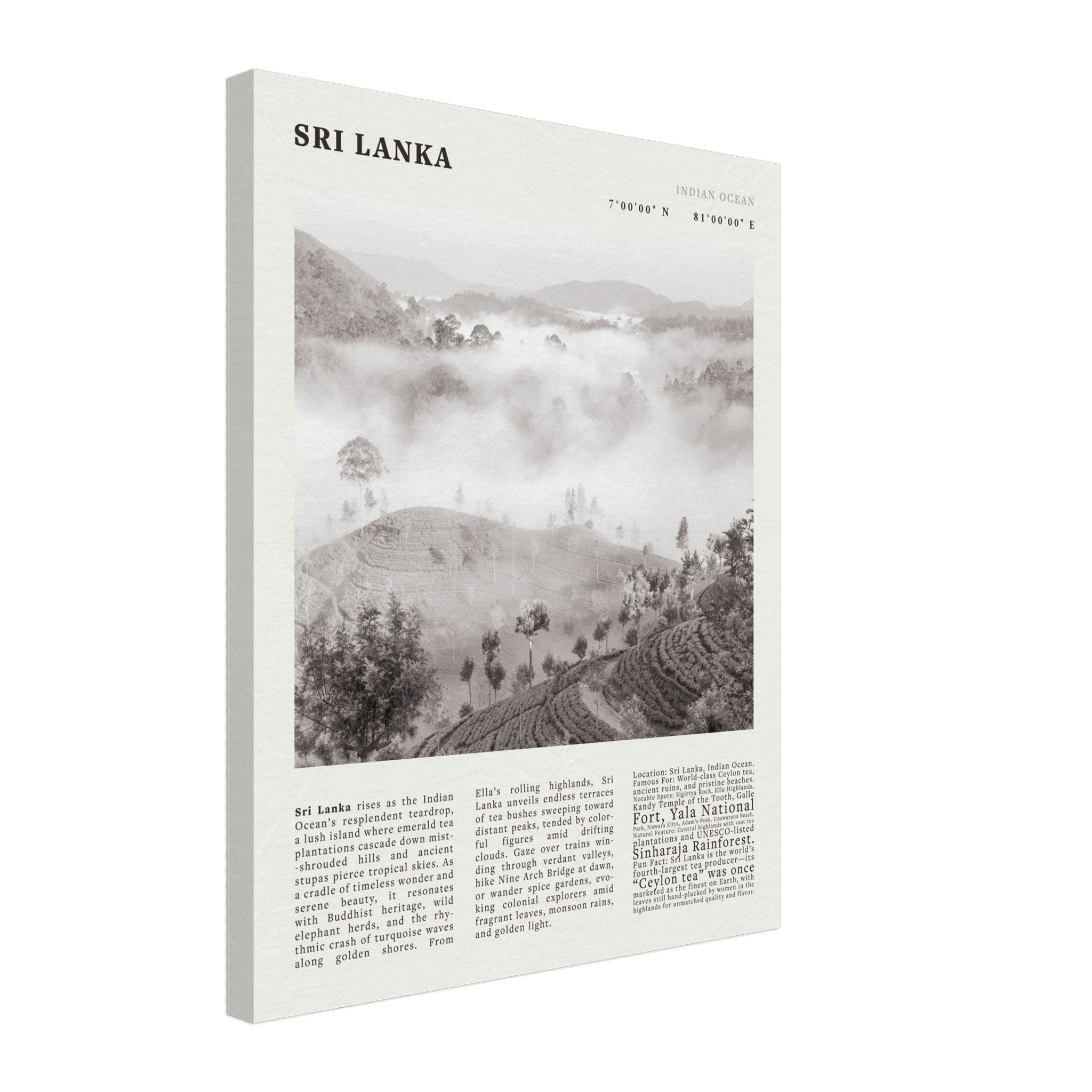 Sri Lanka Poster Black and White – Vintage Ceylon Tea Plantation Print (Digital & Printed Options) - Evergreen Posters