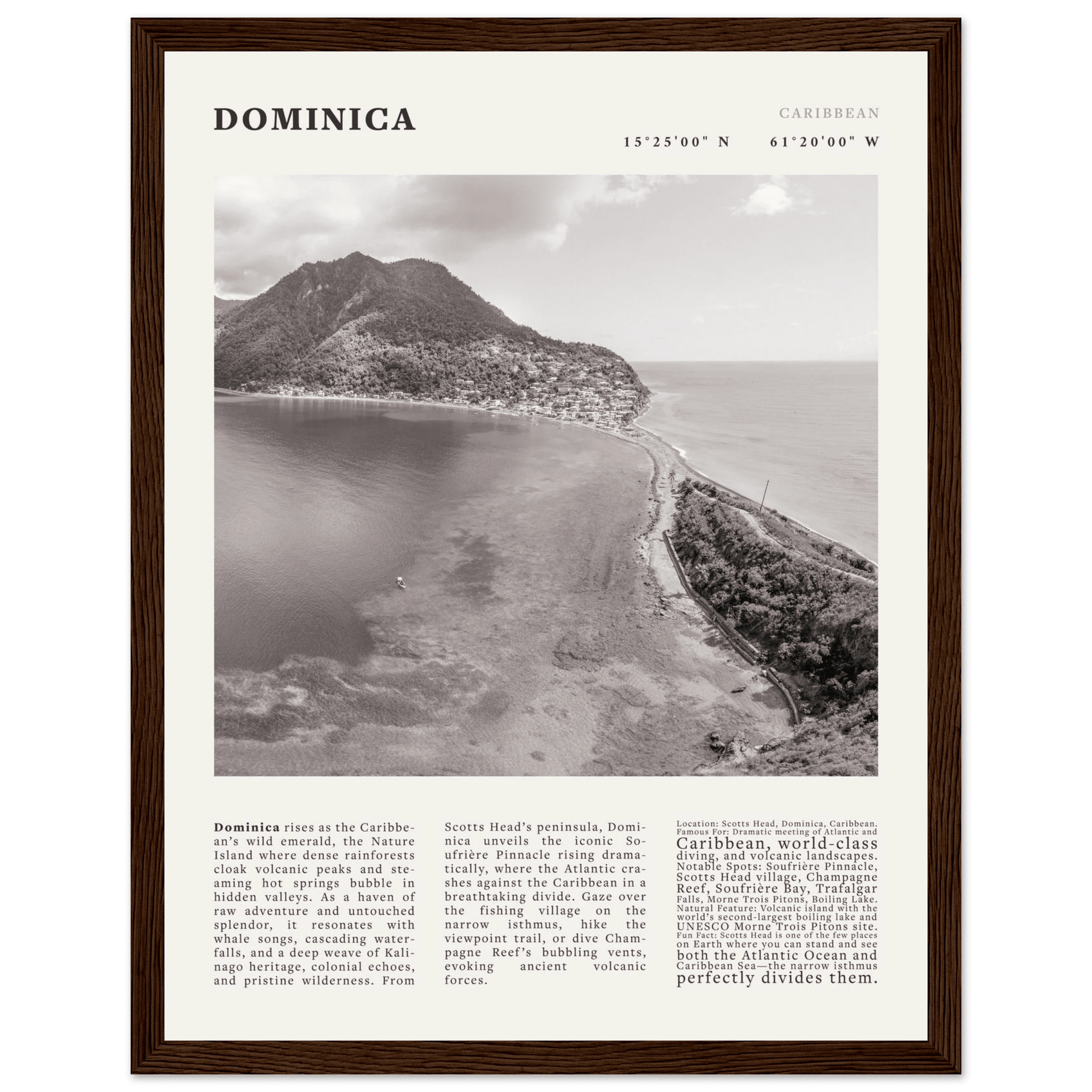 Dominica Poster Black and White – Vintage Caribbean Rainforest Island Print (Digital & Printed Options) - Evergreen Posters