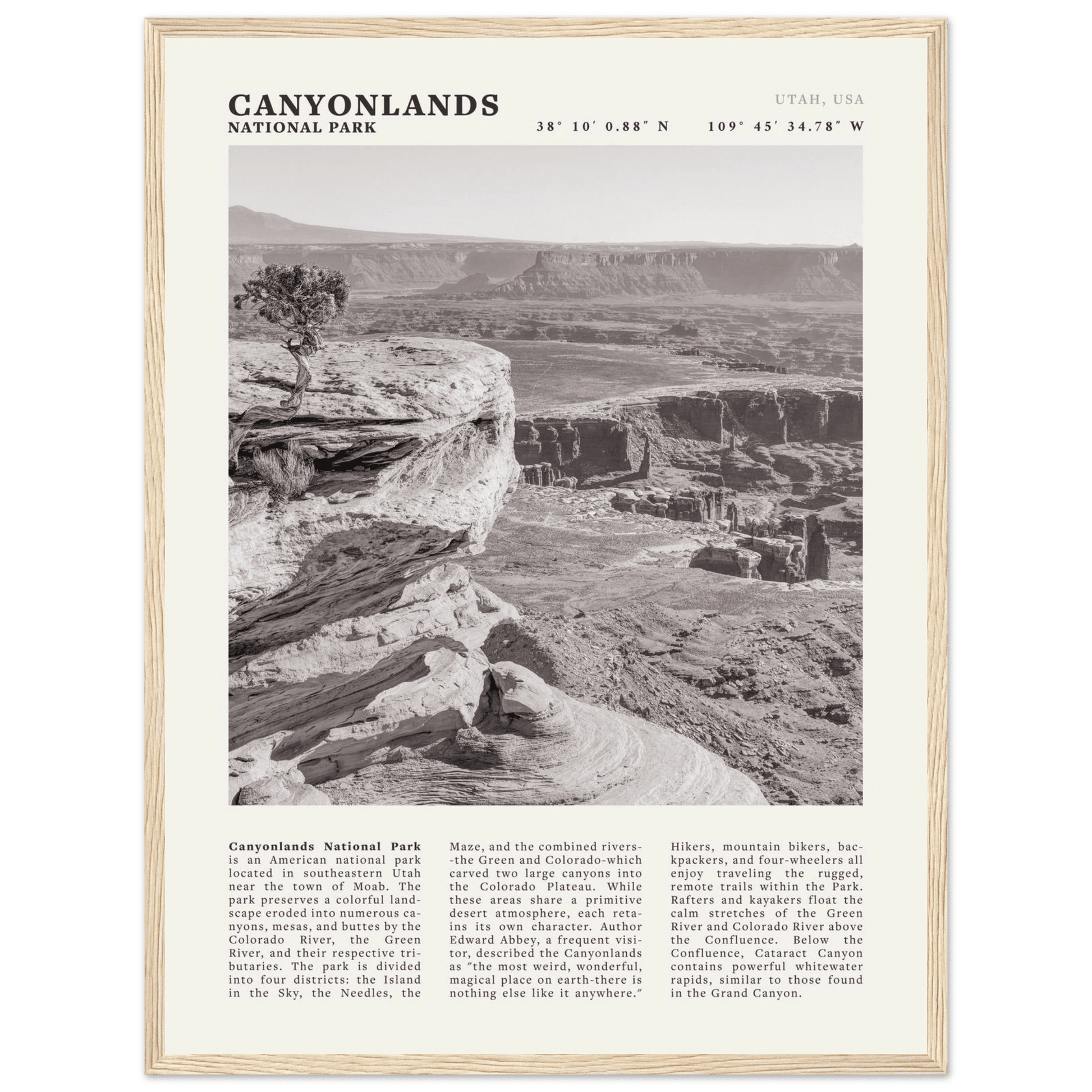 Canyonlands National Park Poster | Black & White Utah Wall Art | Canyon Travel Print - Evergreen Posters