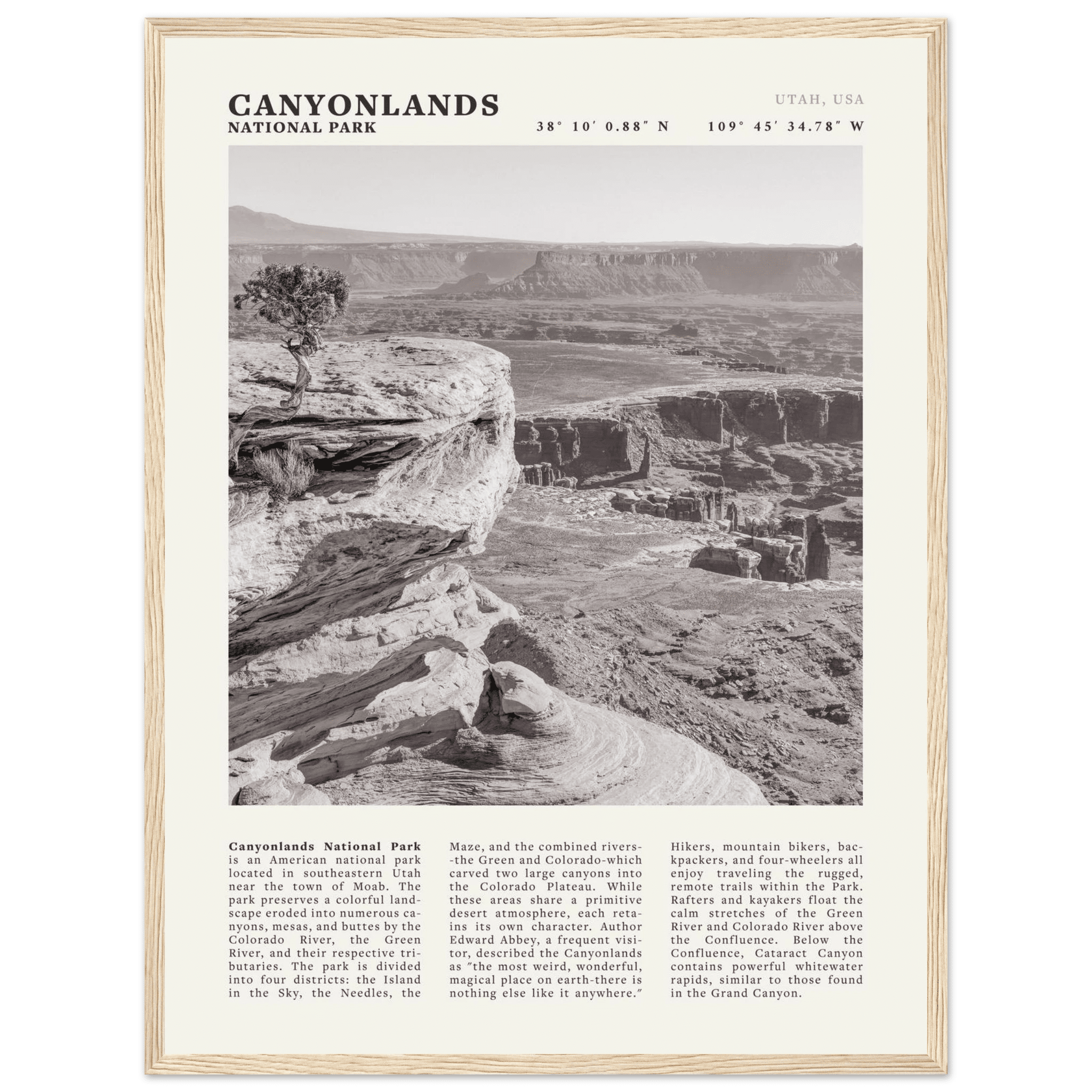 Canyonlands National Park Poster | Black & White Utah Wall Art | Canyon Travel Print - Evergreen Posters