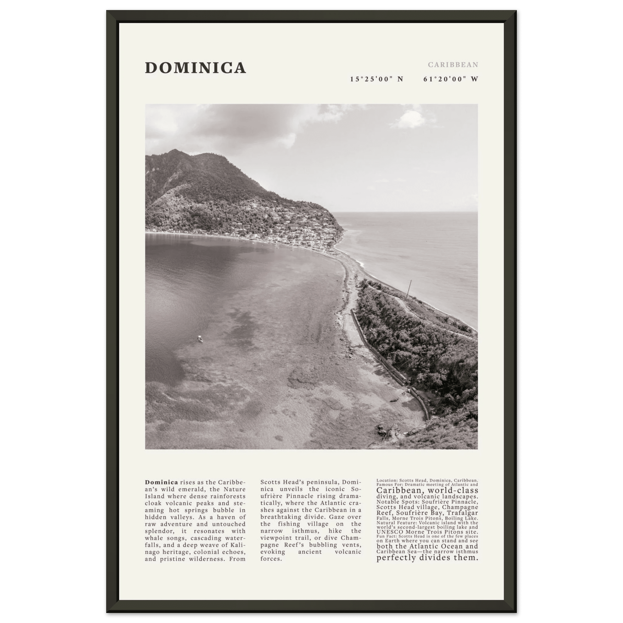 Dominica Poster Black and White – Vintage Caribbean Rainforest Island Print (Digital & Printed Options) - Evergreen Posters
