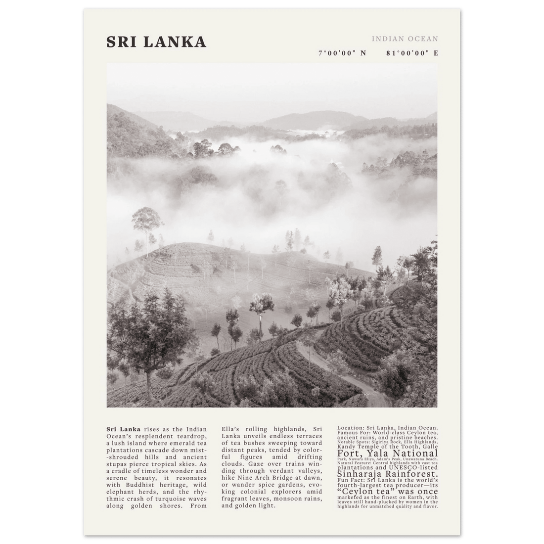Sri Lanka Poster Black and White – Vintage Ceylon Tea Plantation Print (Digital & Printed Options) - Evergreen Posters