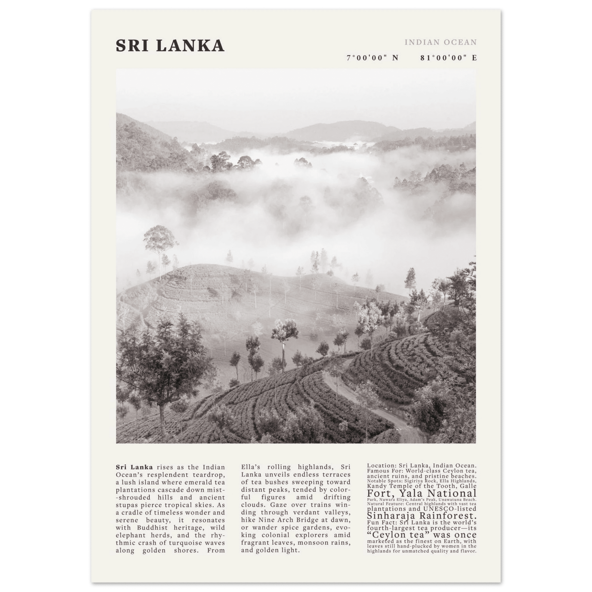 Sri Lanka Poster Black and White – Vintage Ceylon Tea Plantation Print (Digital & Printed Options) - Evergreen Posters