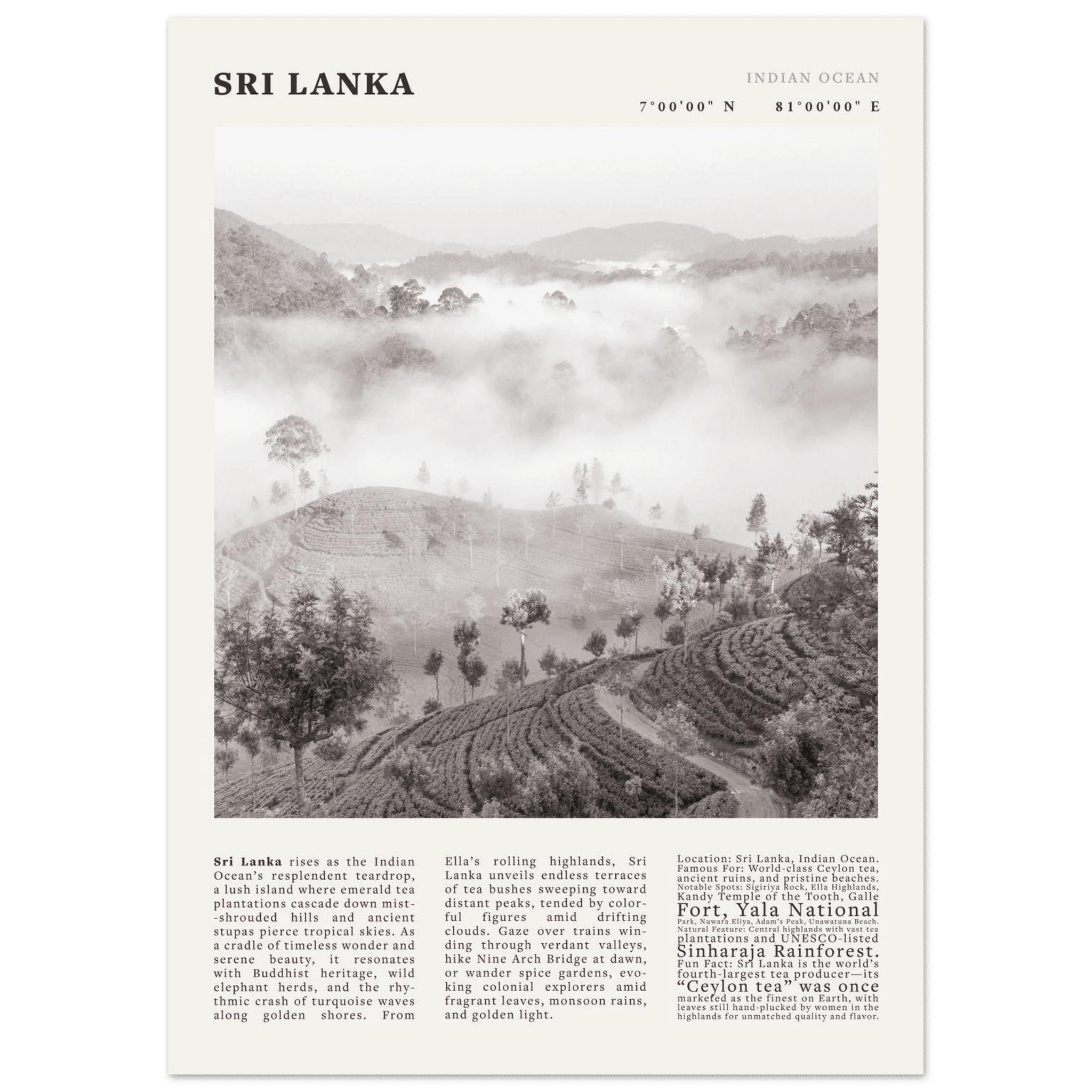 Sri Lanka Poster Black and White – Vintage Ceylon Tea Plantation Print (Digital & Printed Options) - Evergreen Posters