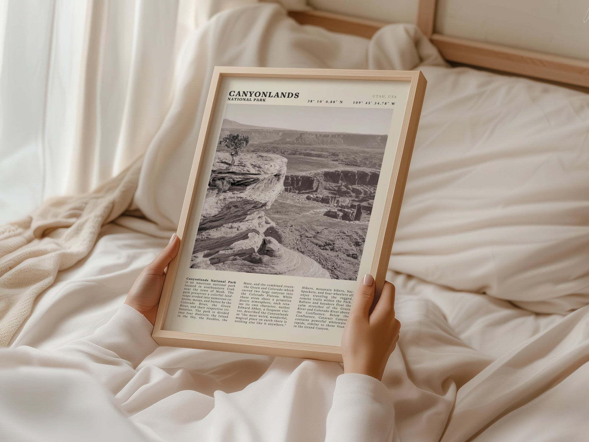 Canyonlands National Park Poster | Black & White Utah Wall Art | Canyon Travel Print - Evergreen Posters