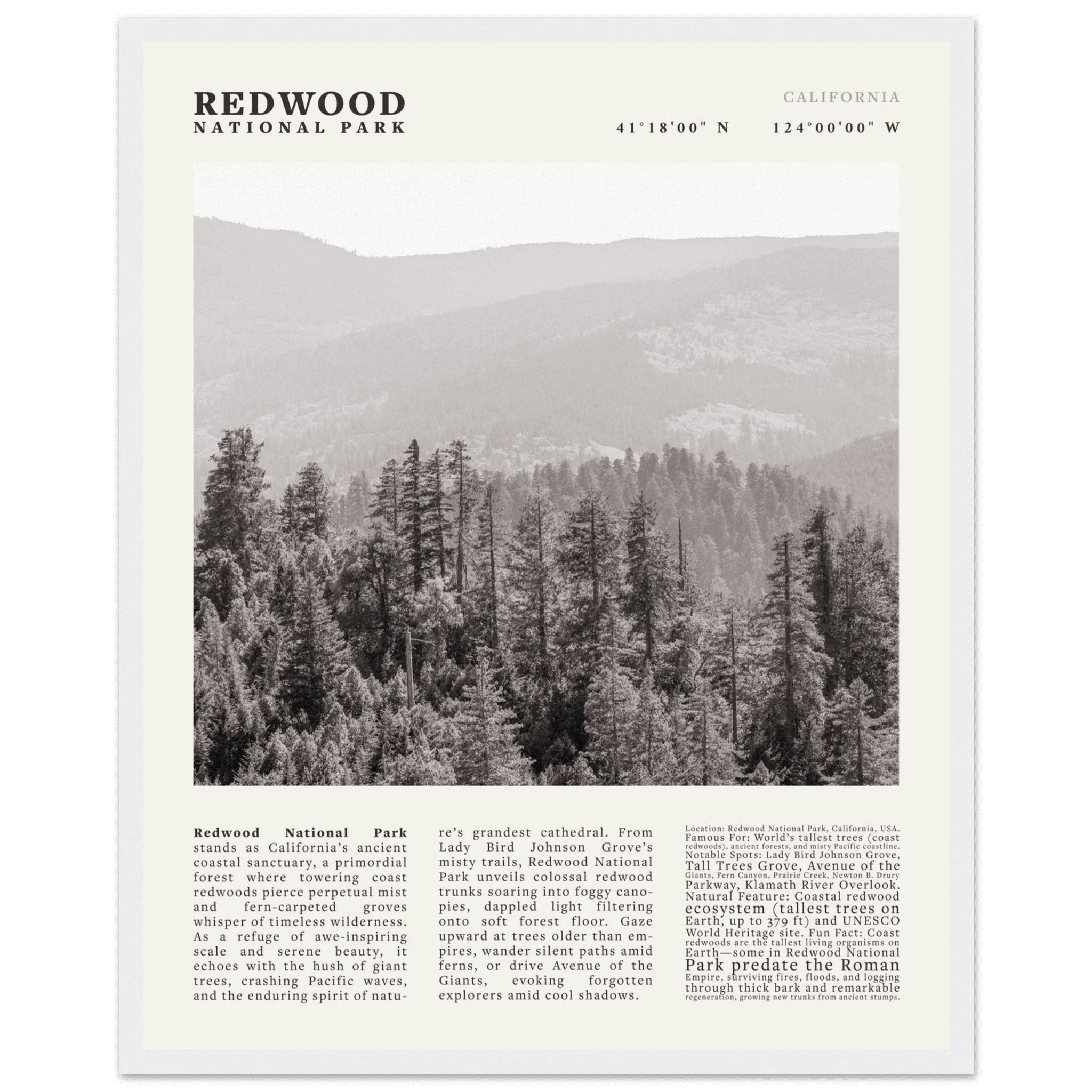 Redwood National Park Poster Black and White – Vintage Foggy Redwood Forest Print - Evergreen Posters