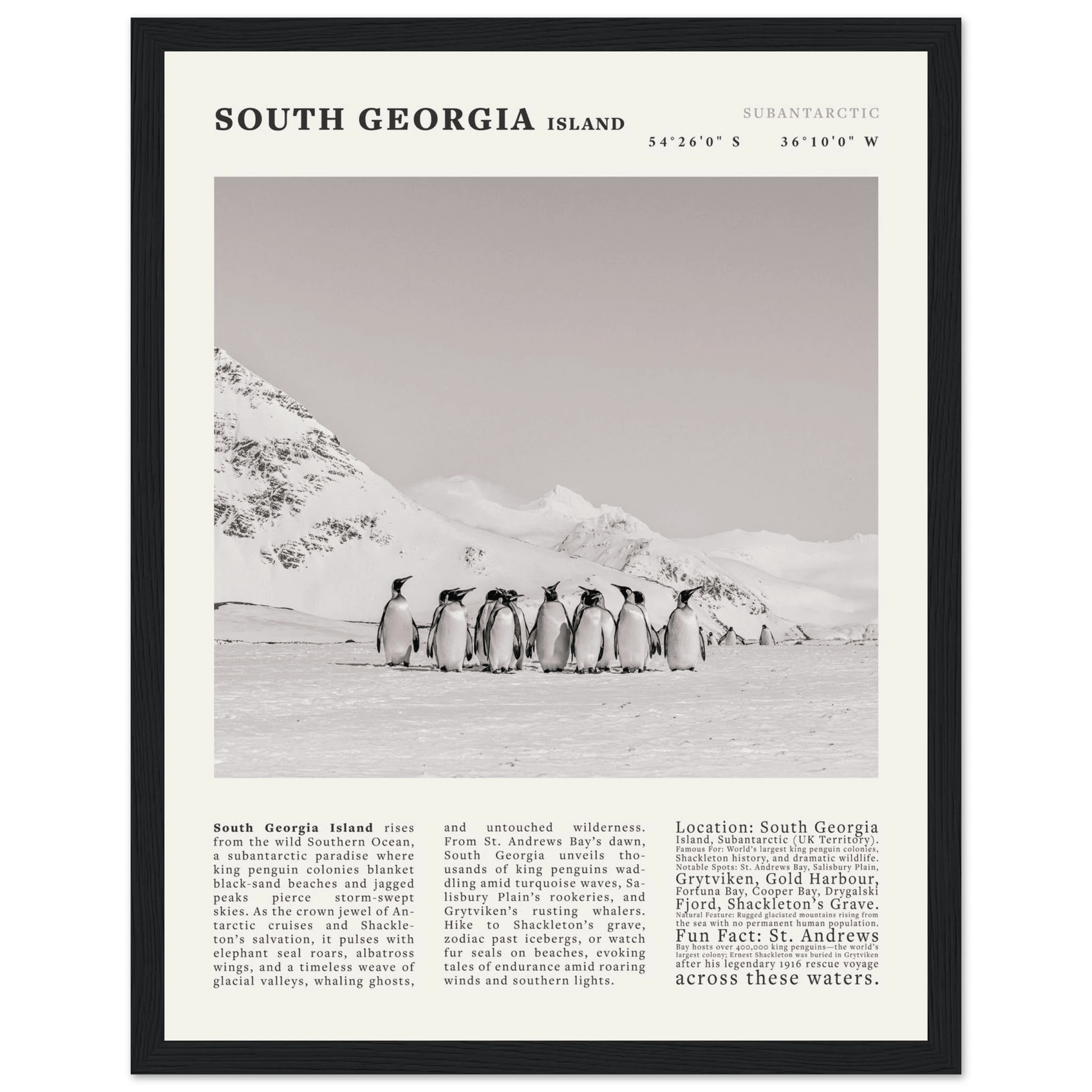 South Georgia Island Black and White Vintage Poster - Evergreen Posters
