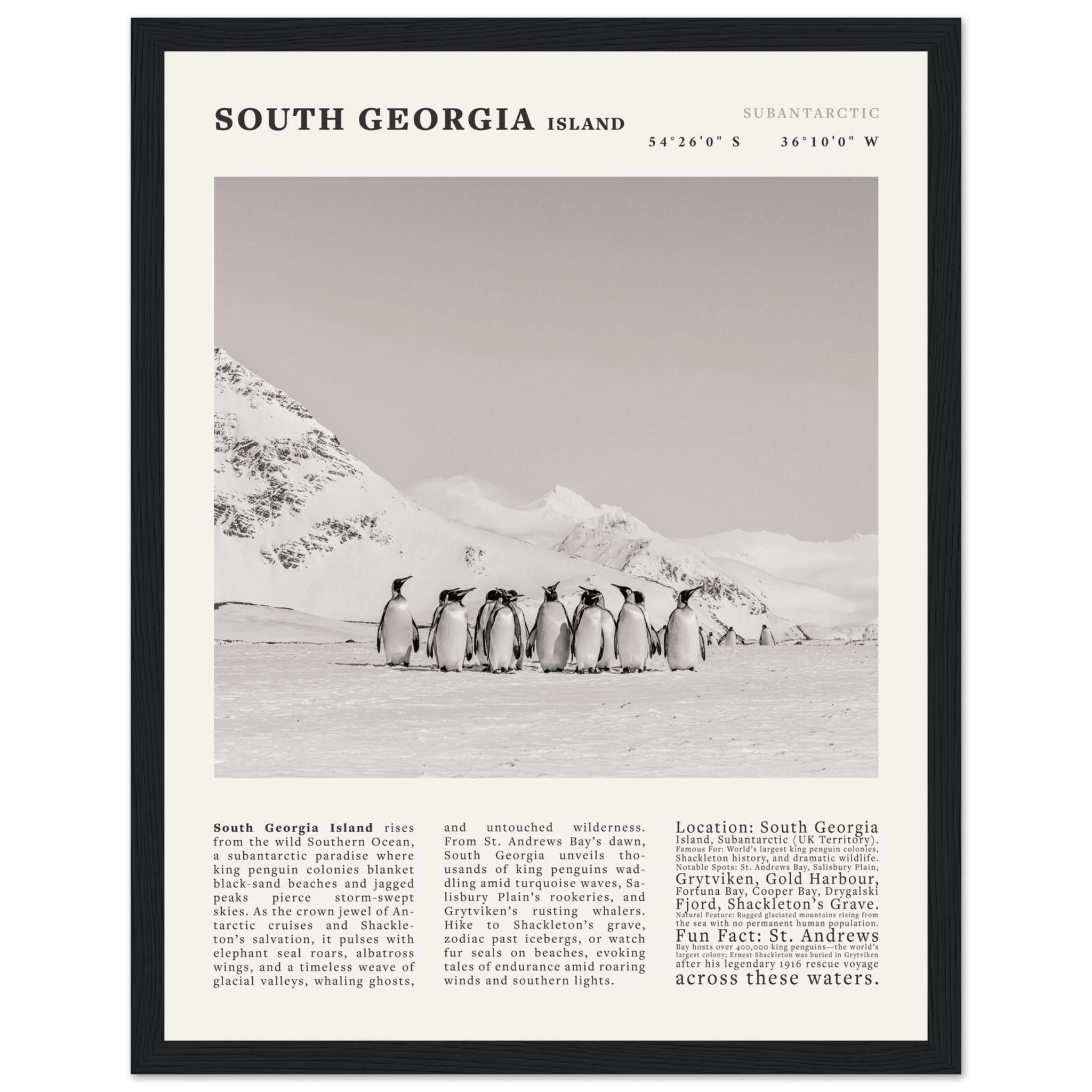 South Georgia Island Black and White Vintage Poster - Evergreen Posters
