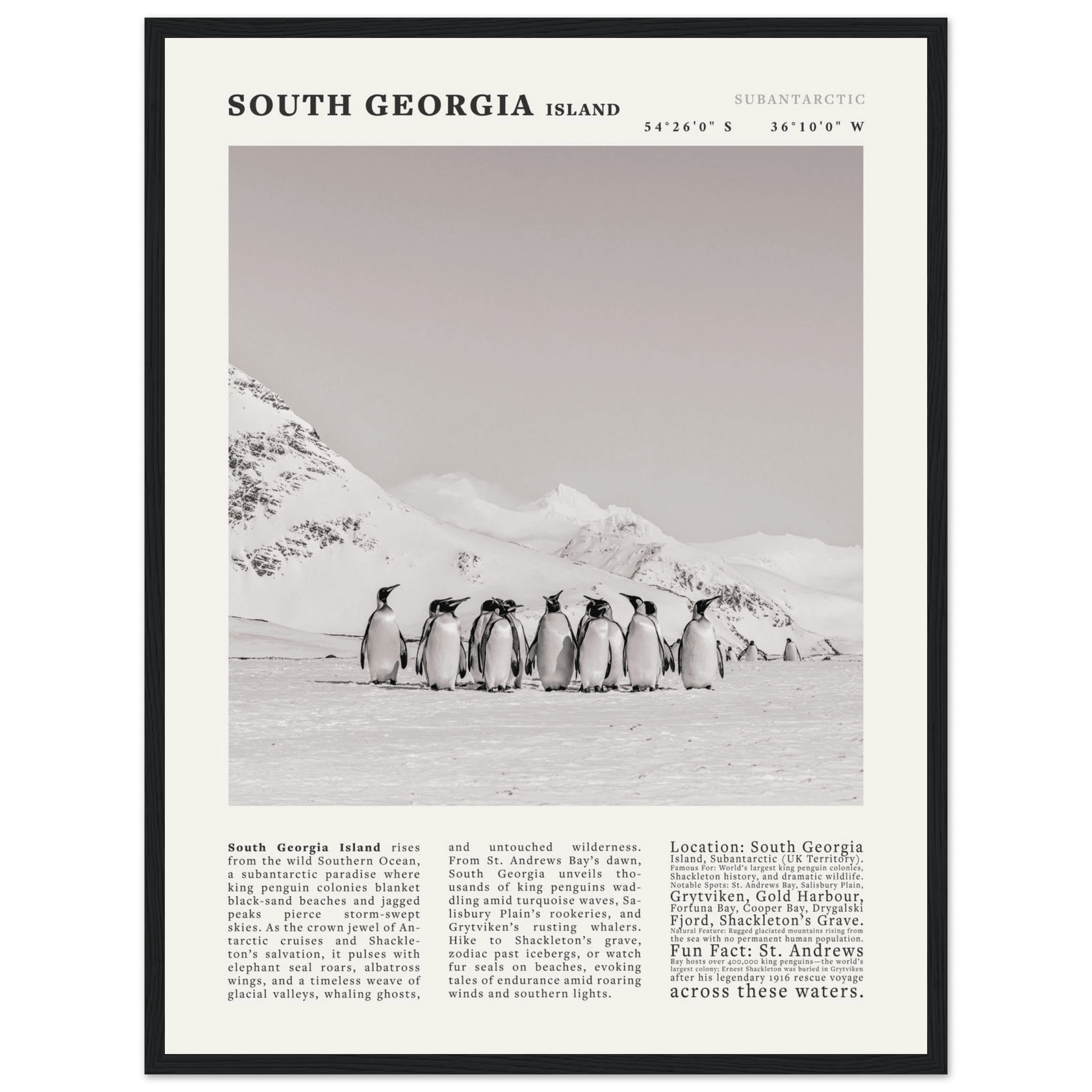 South Georgia Island Black and White Vintage Poster - Evergreen Posters