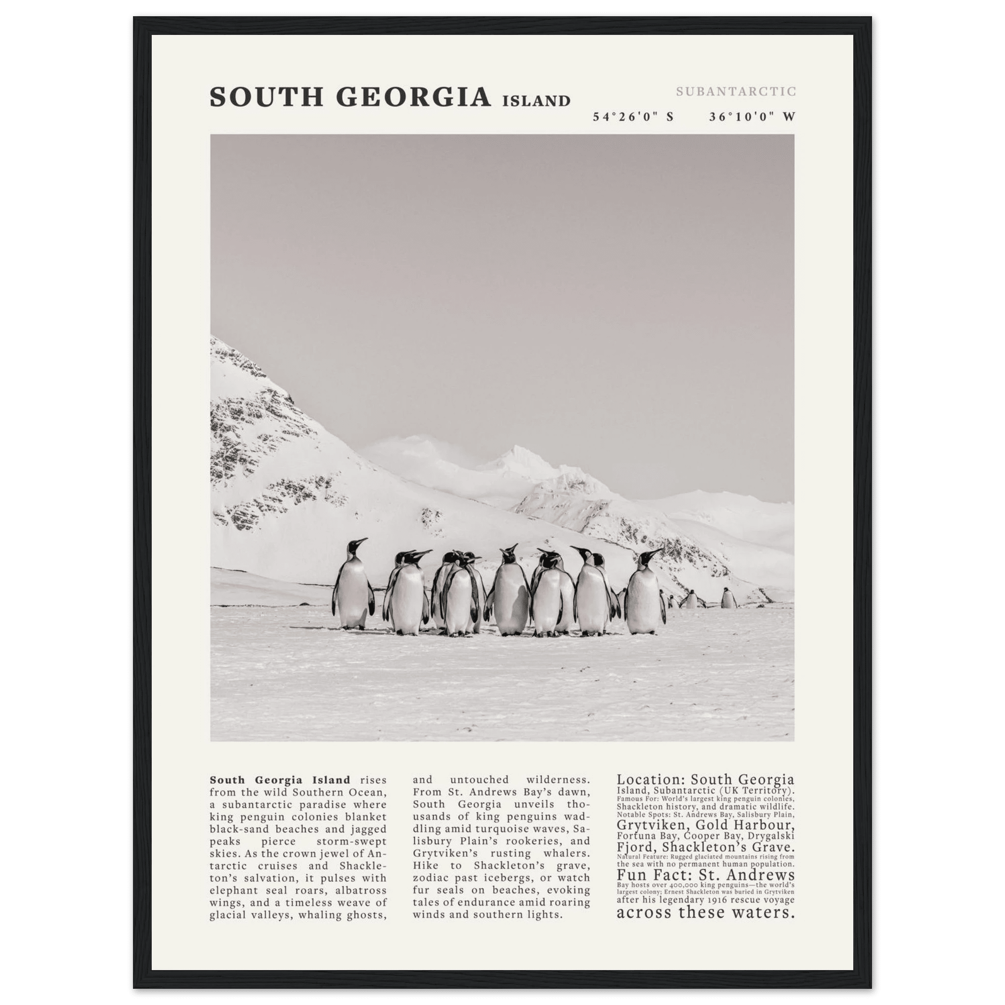 South Georgia Island Black and White Vintage Poster - Evergreen Posters