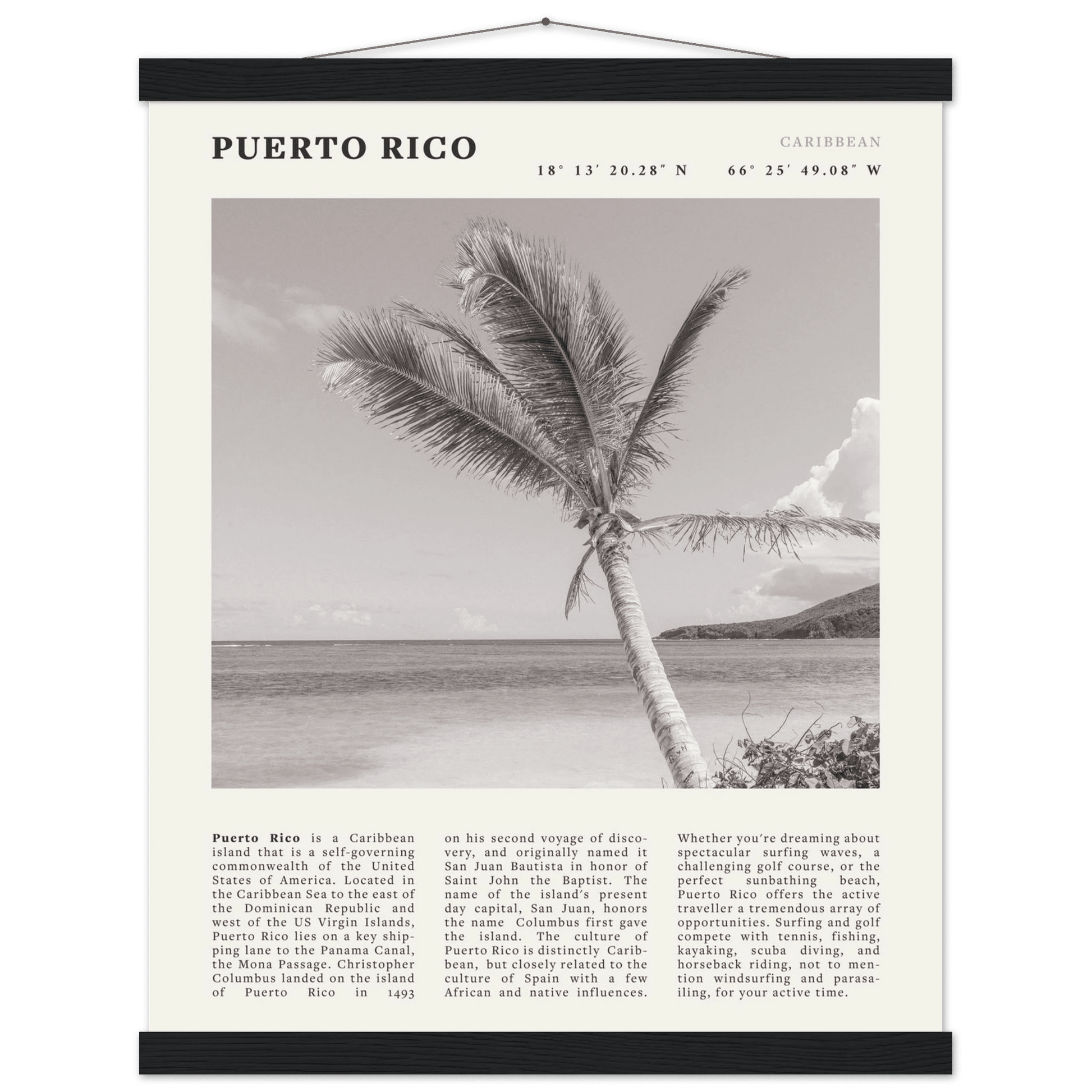 Puerto Rico Poster Black and White – Vintage Caribbean Palm Beach Print (Digital & Printed Options) - Evergreen Posters