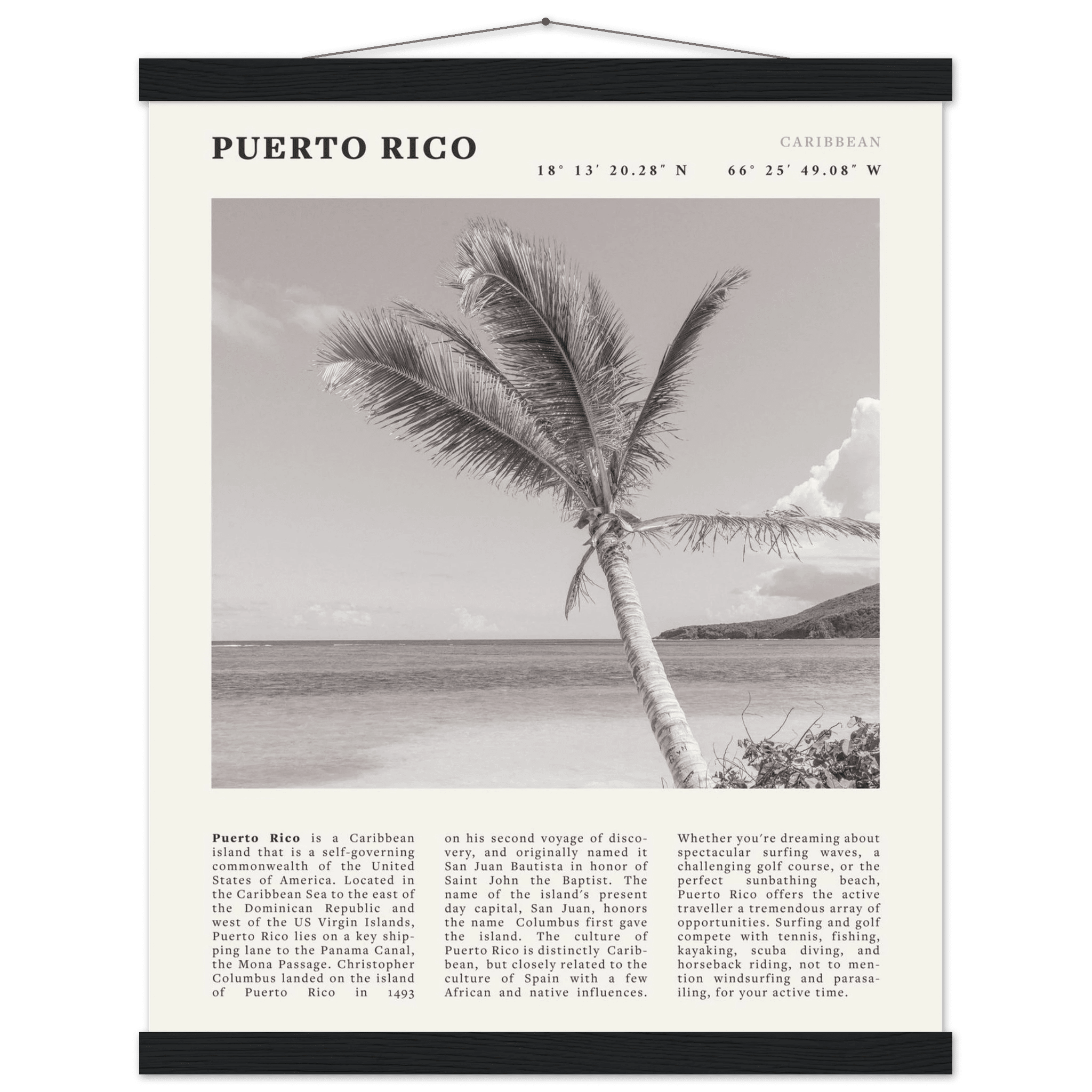 Puerto Rico Poster Black and White – Vintage Caribbean Palm Beach Print (Digital & Printed Options) - Evergreen Posters