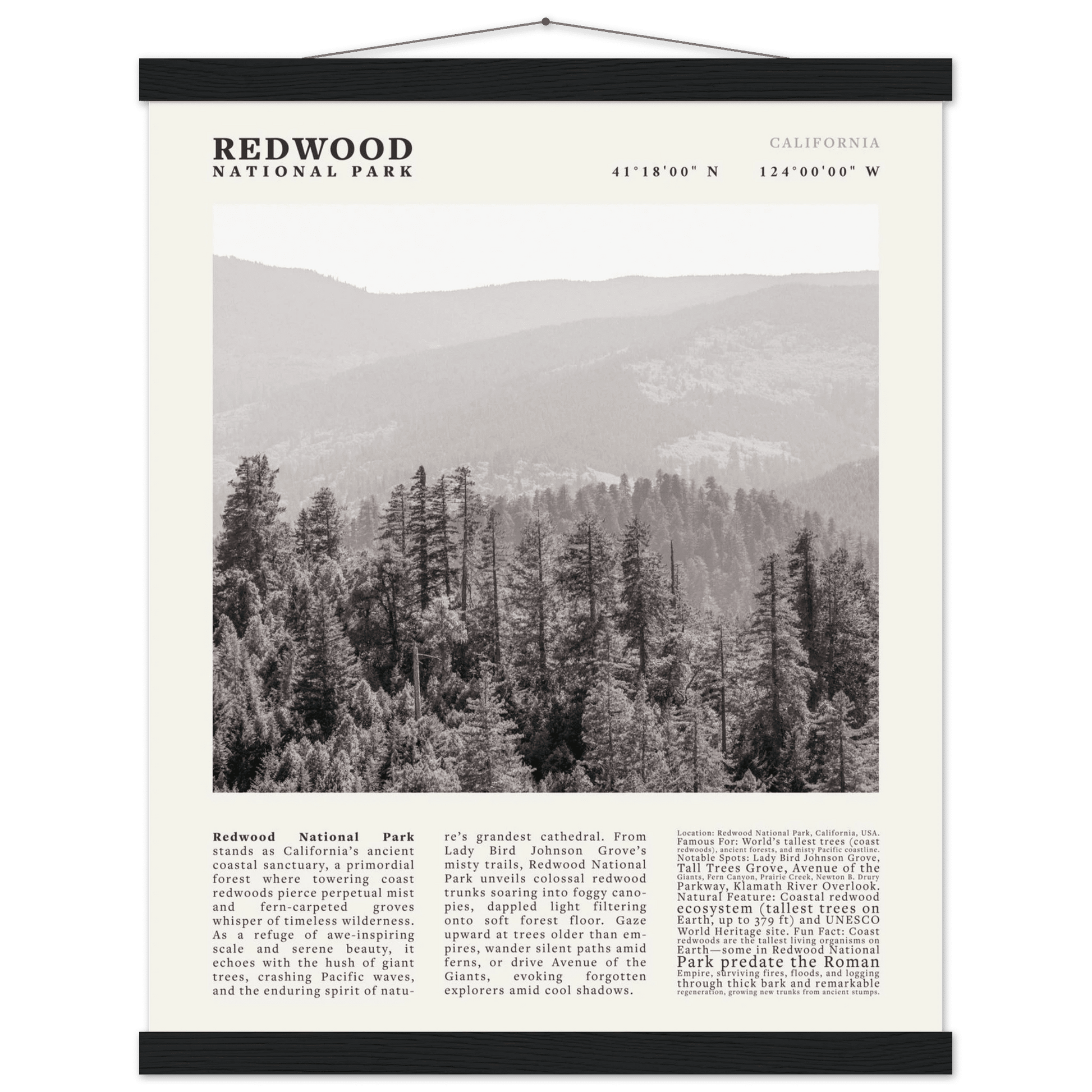 Redwood National Park Poster Black and White – Vintage Foggy Redwood Forest Print - Evergreen Posters
