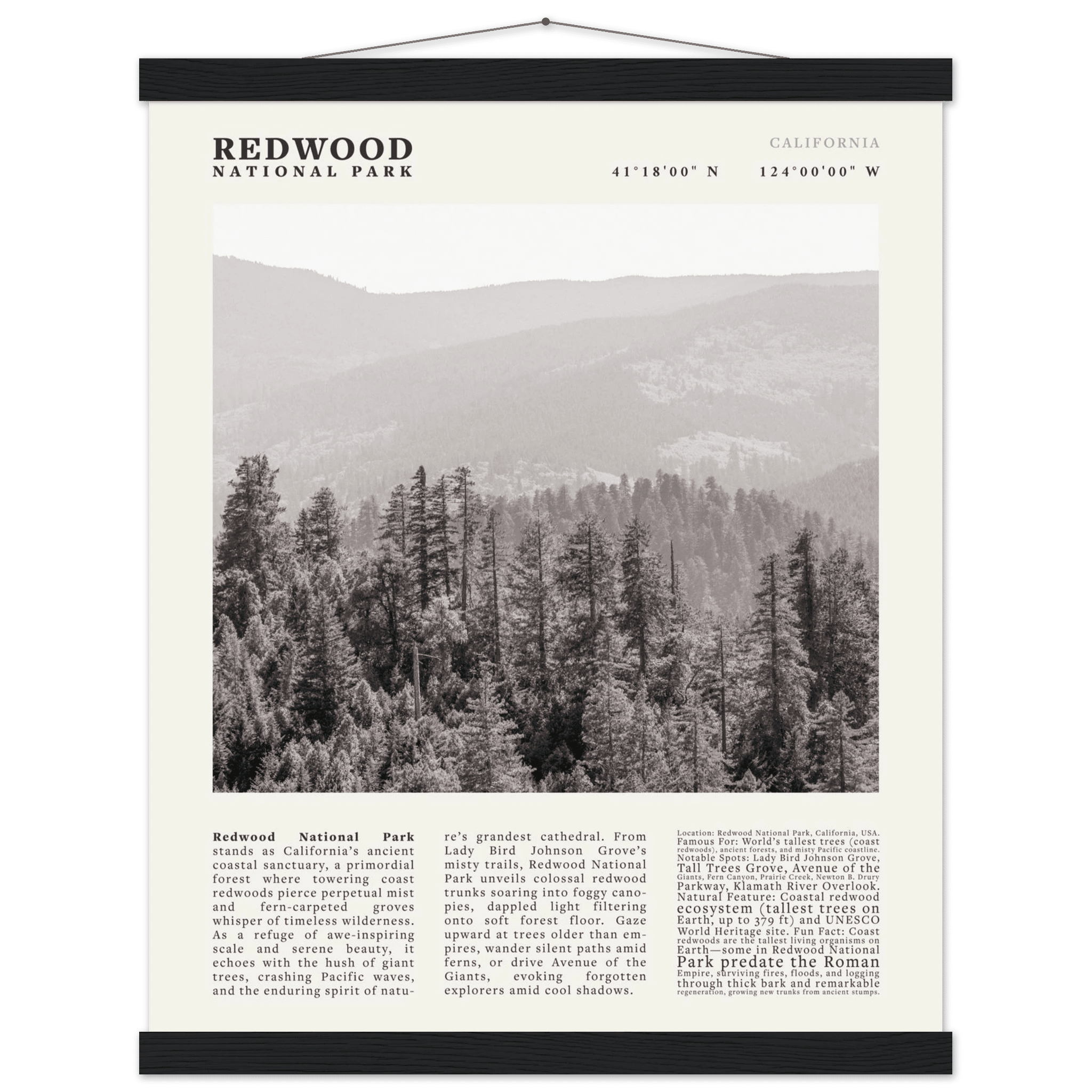 Redwood National Park Poster Black and White – Vintage Foggy Redwood Forest Print - Evergreen Posters
