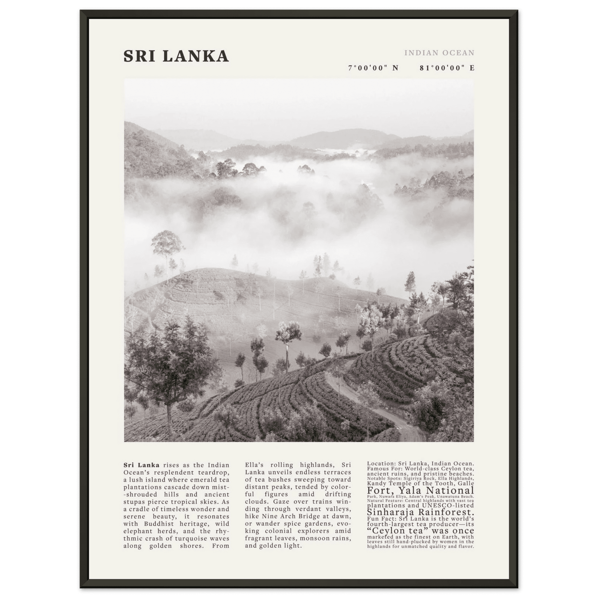 Sri Lanka Poster Black and White – Vintage Ceylon Tea Plantation Print (Digital & Printed Options) - Evergreen Posters