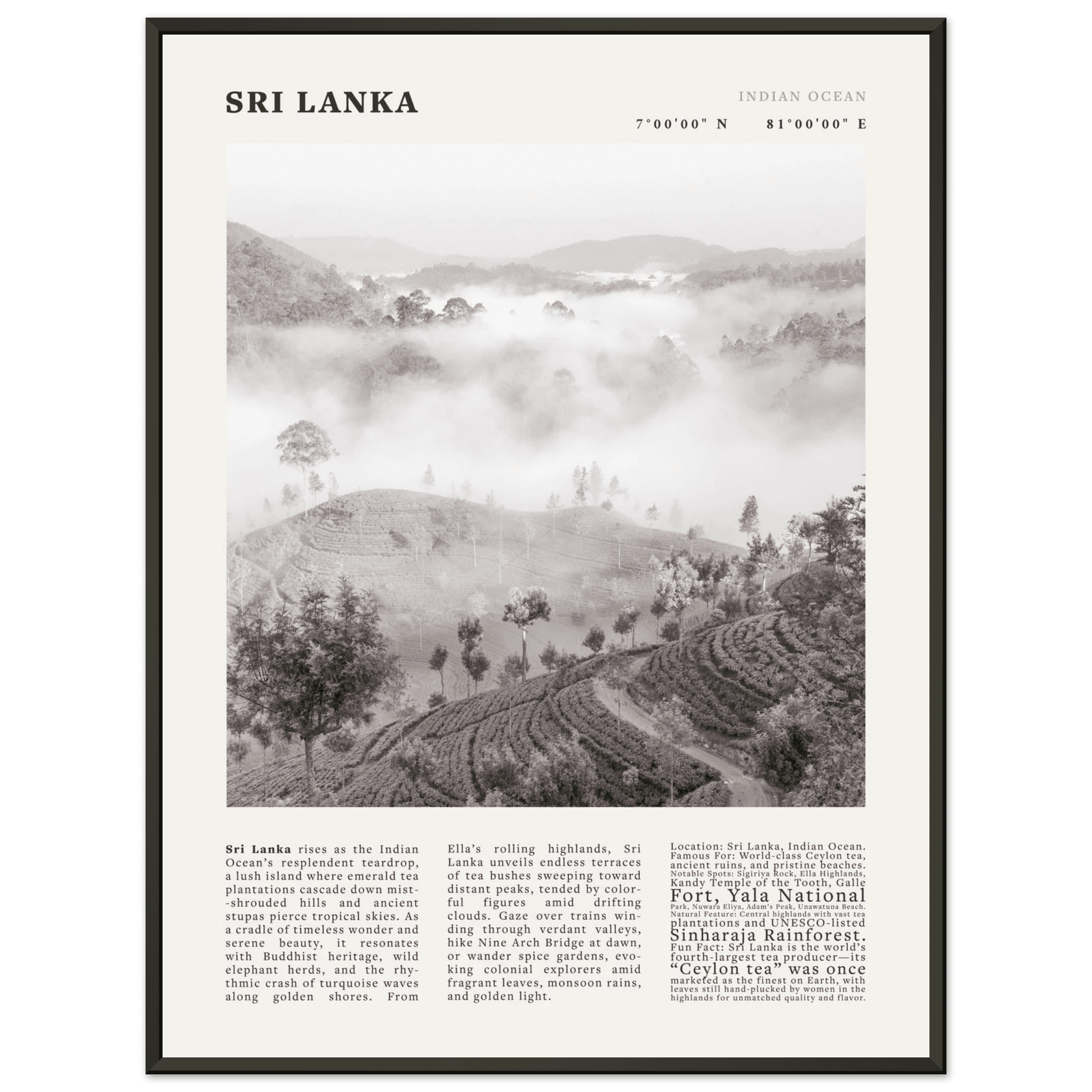 Sri Lanka Poster Black and White – Vintage Ceylon Tea Plantation Print (Digital & Printed Options) - Evergreen Posters