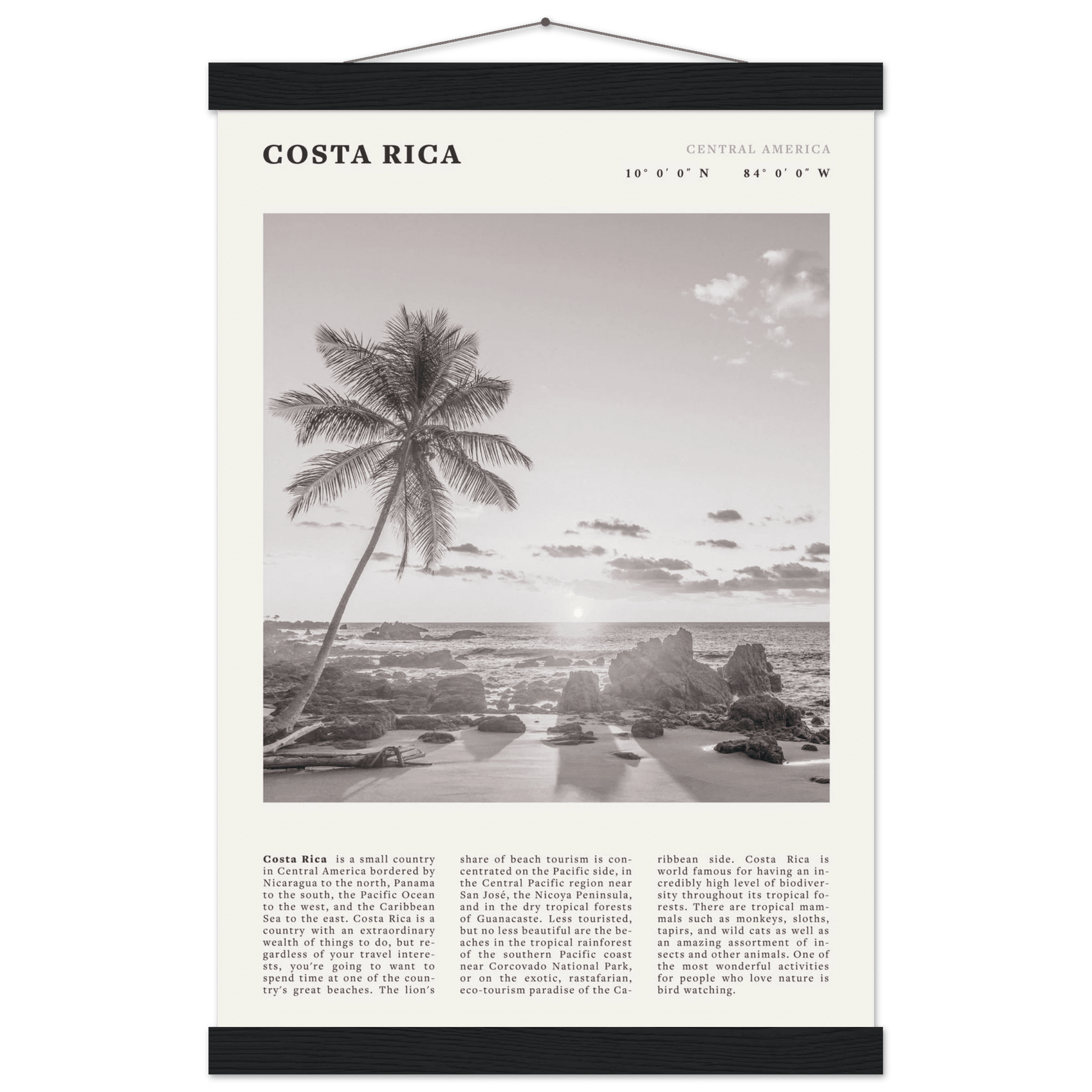 Costa Rica Poster | Black & White Palm Tree Beach Wall Art | Travel Print Decor - Evergreen Posters