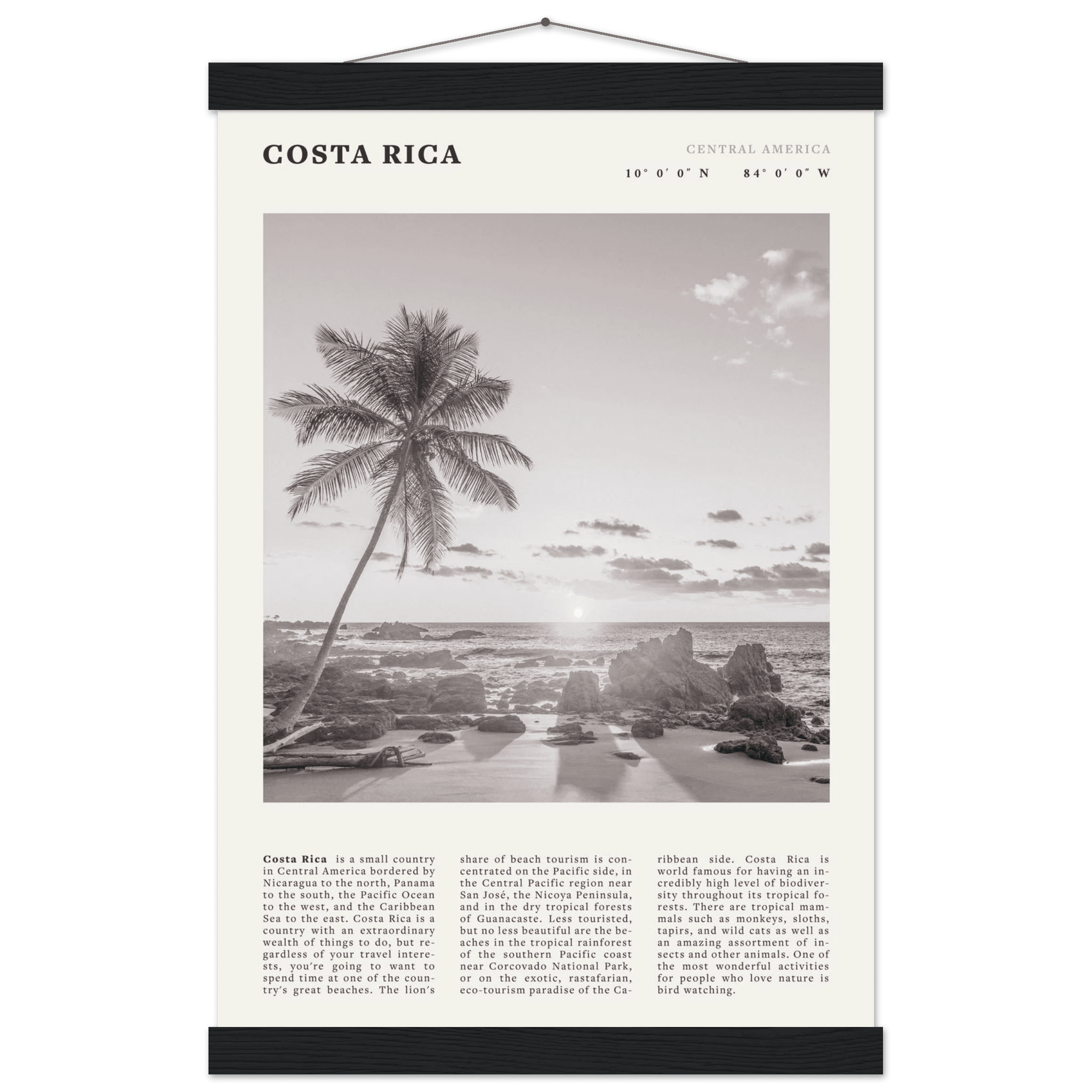 Costa Rica Poster | Black & White Palm Tree Beach Wall Art | Travel Print Decor - Evergreen Posters