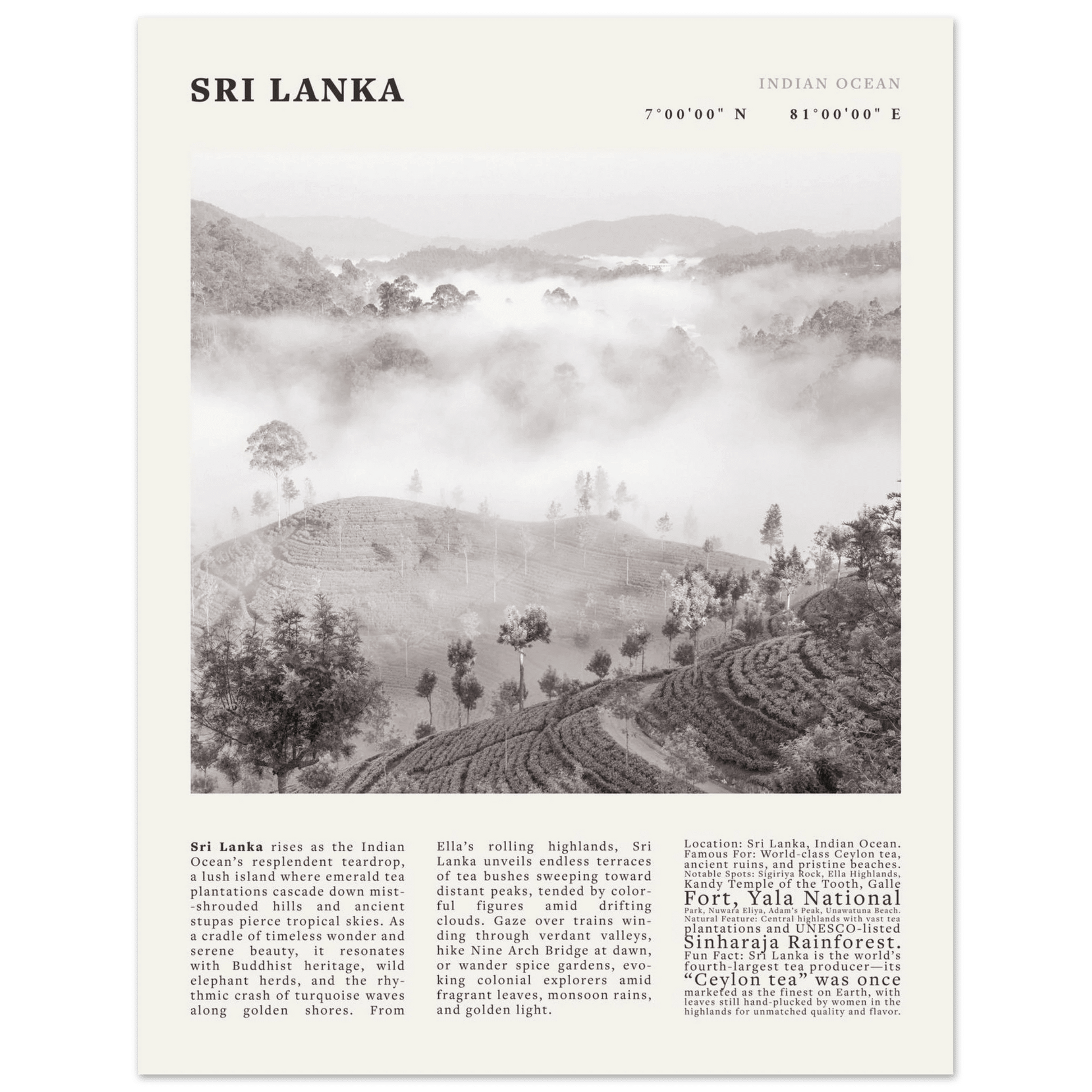 Sri Lanka Poster Black and White – Vintage Ceylon Tea Plantation Print (Digital & Printed Options) - Evergreen Posters