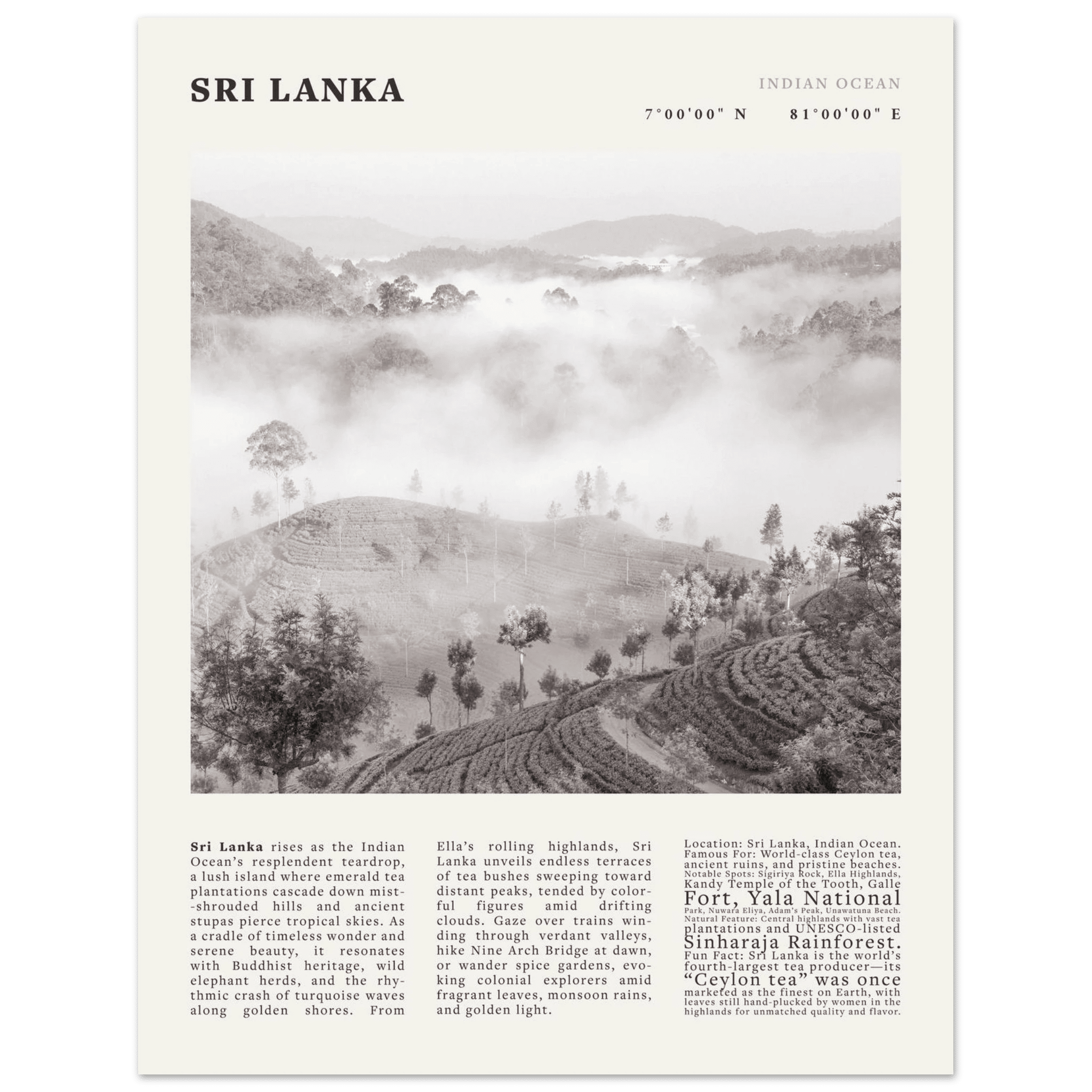 Sri Lanka Poster Black and White – Vintage Ceylon Tea Plantation Print (Digital & Printed Options) - Evergreen Posters