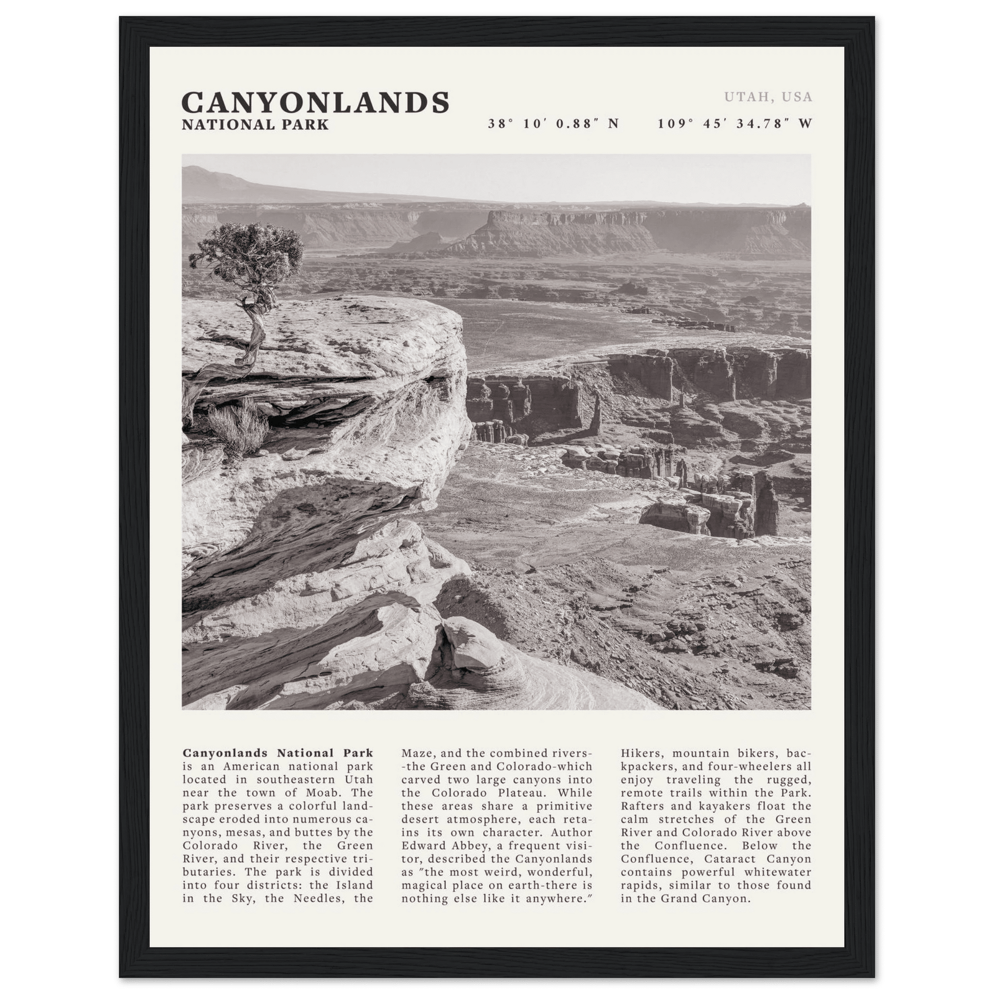 Canyonlands National Park Poster | Black & White Utah Wall Art | Canyon Travel Print - Evergreen Posters