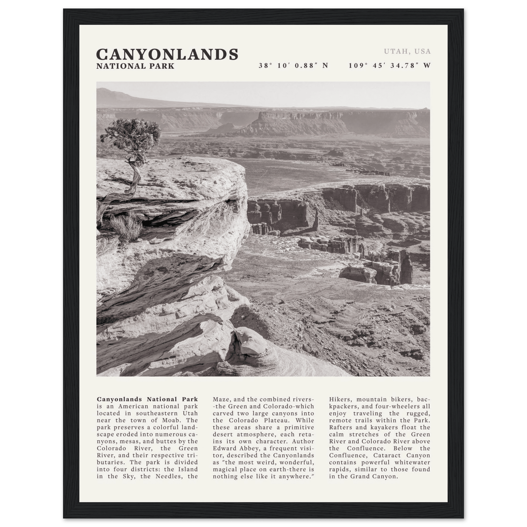 Canyonlands National Park Poster | Black & White Utah Wall Art | Canyon Travel Print - Evergreen Posters