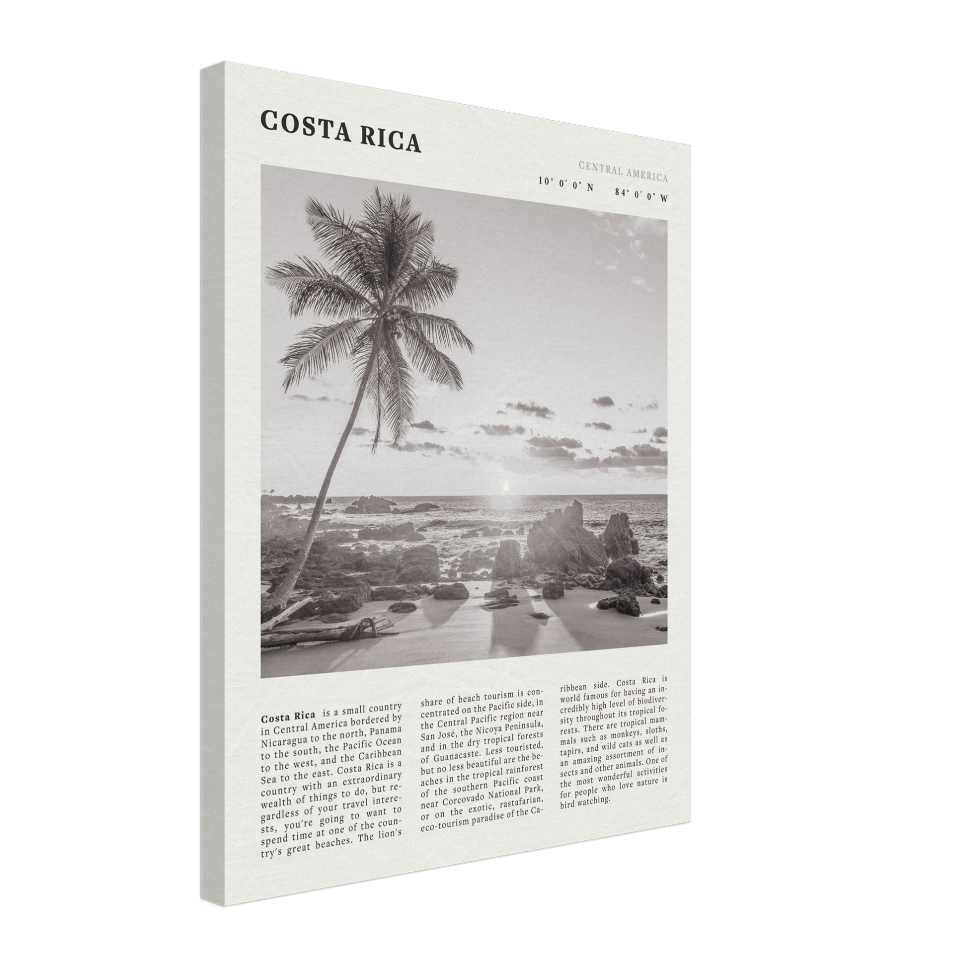 Costa Rica Poster | Black & White Palm Tree Beach Wall Art | Travel Print Decor - Evergreen Posters