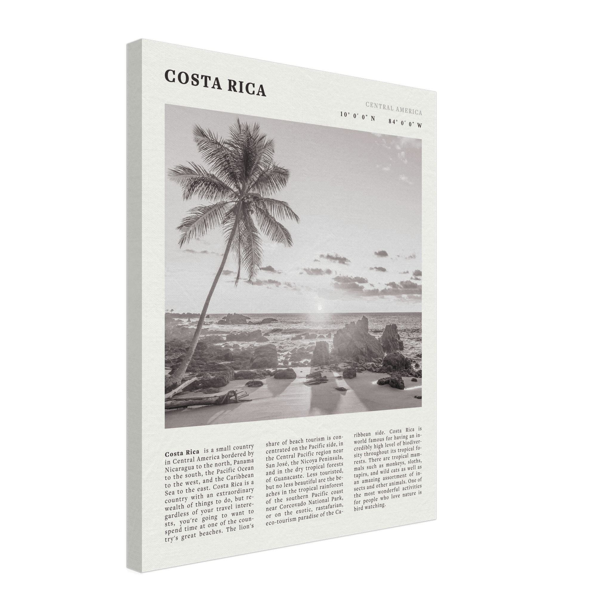 Costa Rica Poster | Black & White Palm Tree Beach Wall Art | Travel Print Decor - Evergreen Posters