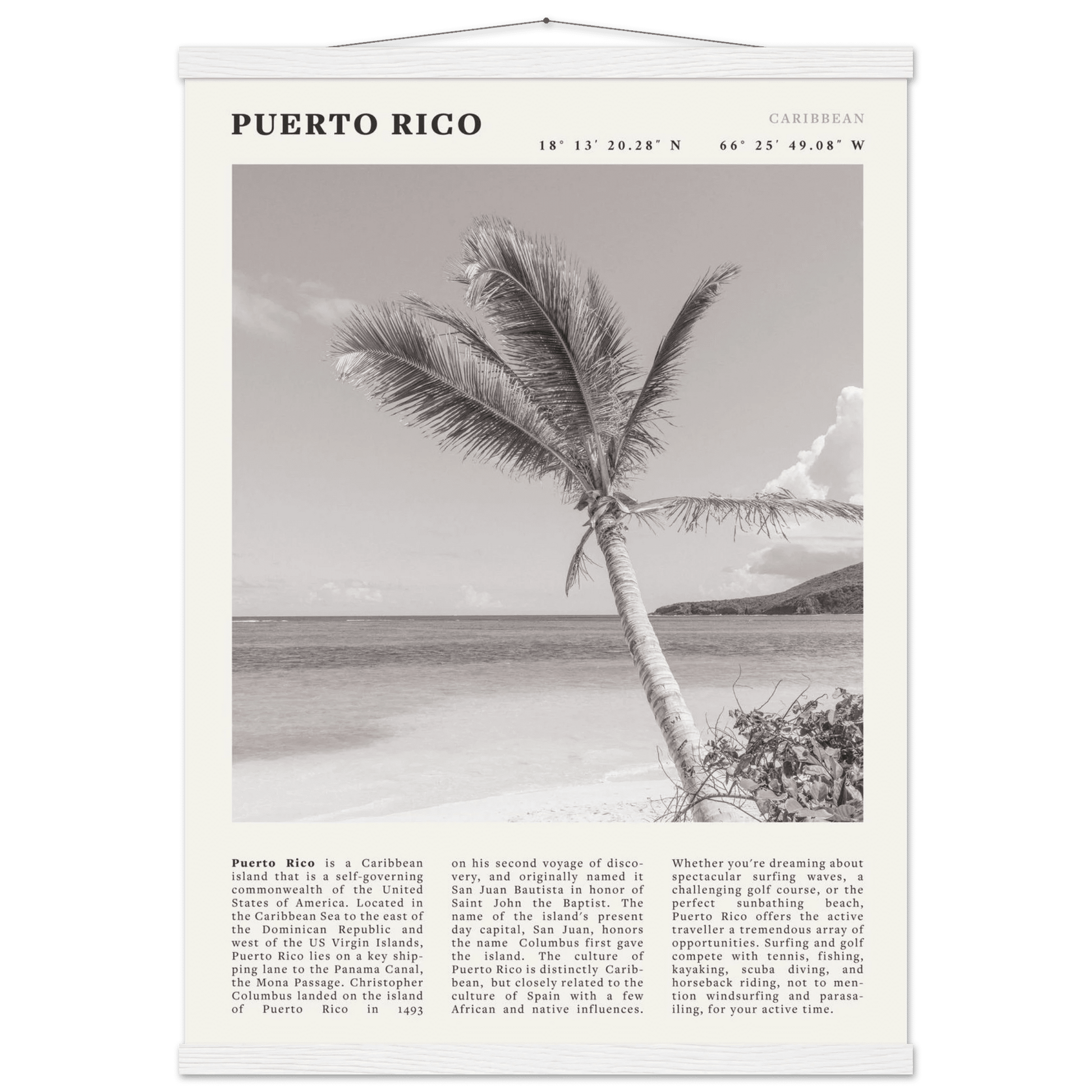Puerto Rico Poster Black and White – Vintage Caribbean Palm Beach Print (Digital & Printed Options) - Evergreen Posters