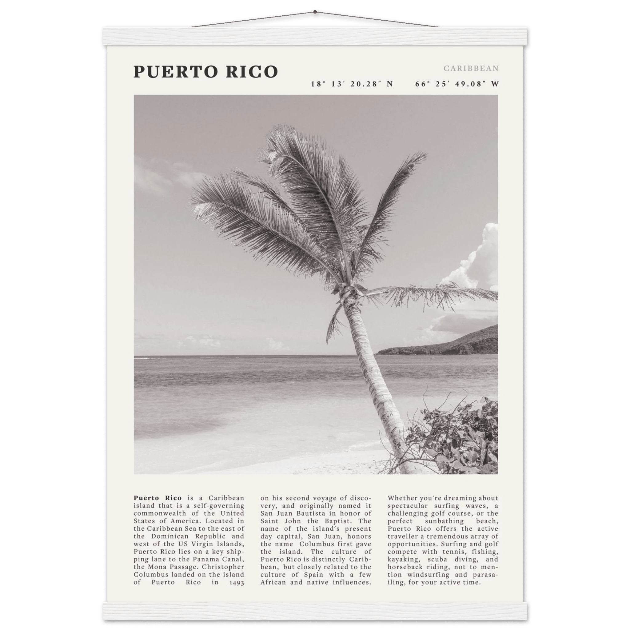 Puerto Rico Poster Black and White – Vintage Caribbean Palm Beach Print (Digital & Printed Options) - Evergreen Posters