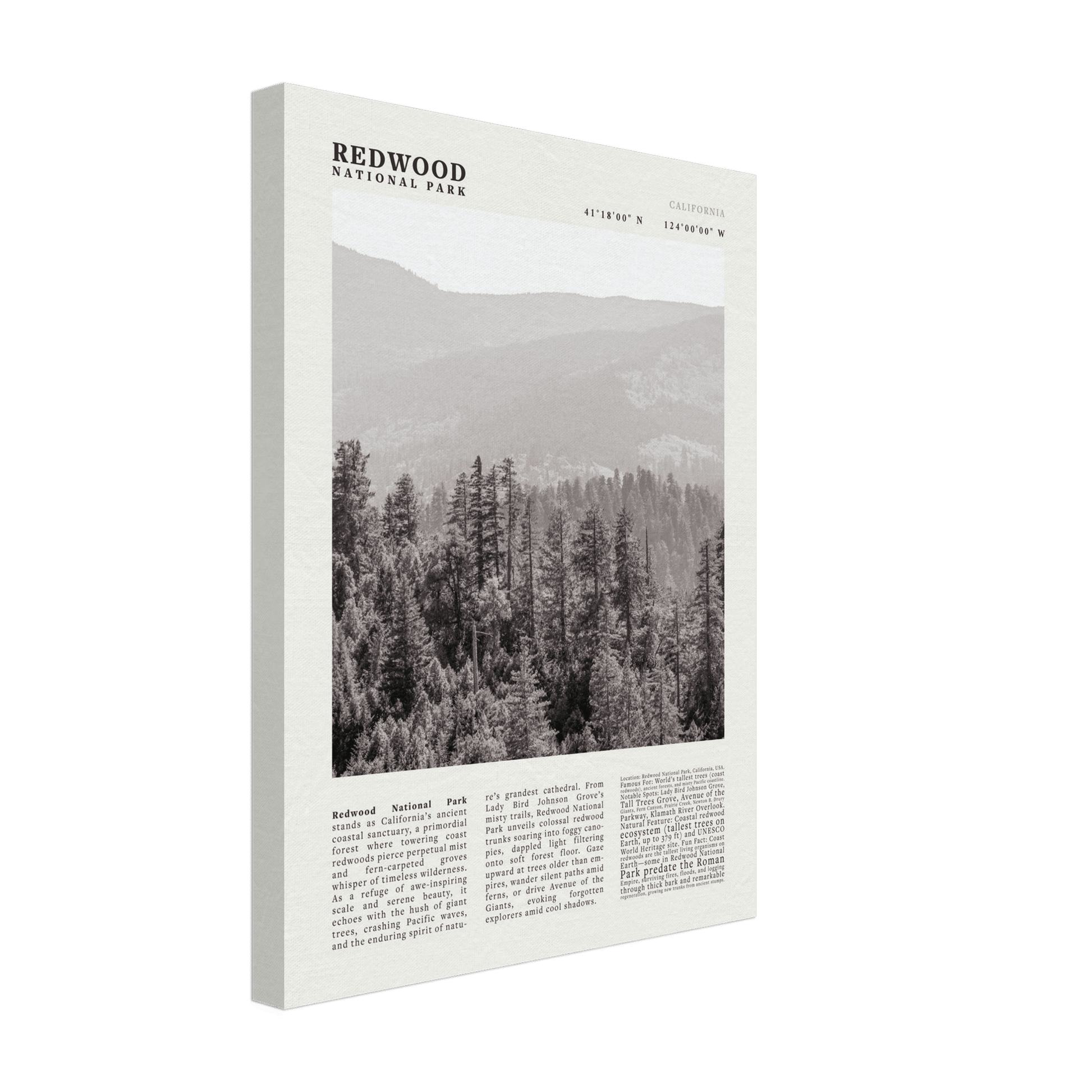 Redwood National Park Poster Black and White – Vintage Foggy Redwood Forest Print - Evergreen Posters