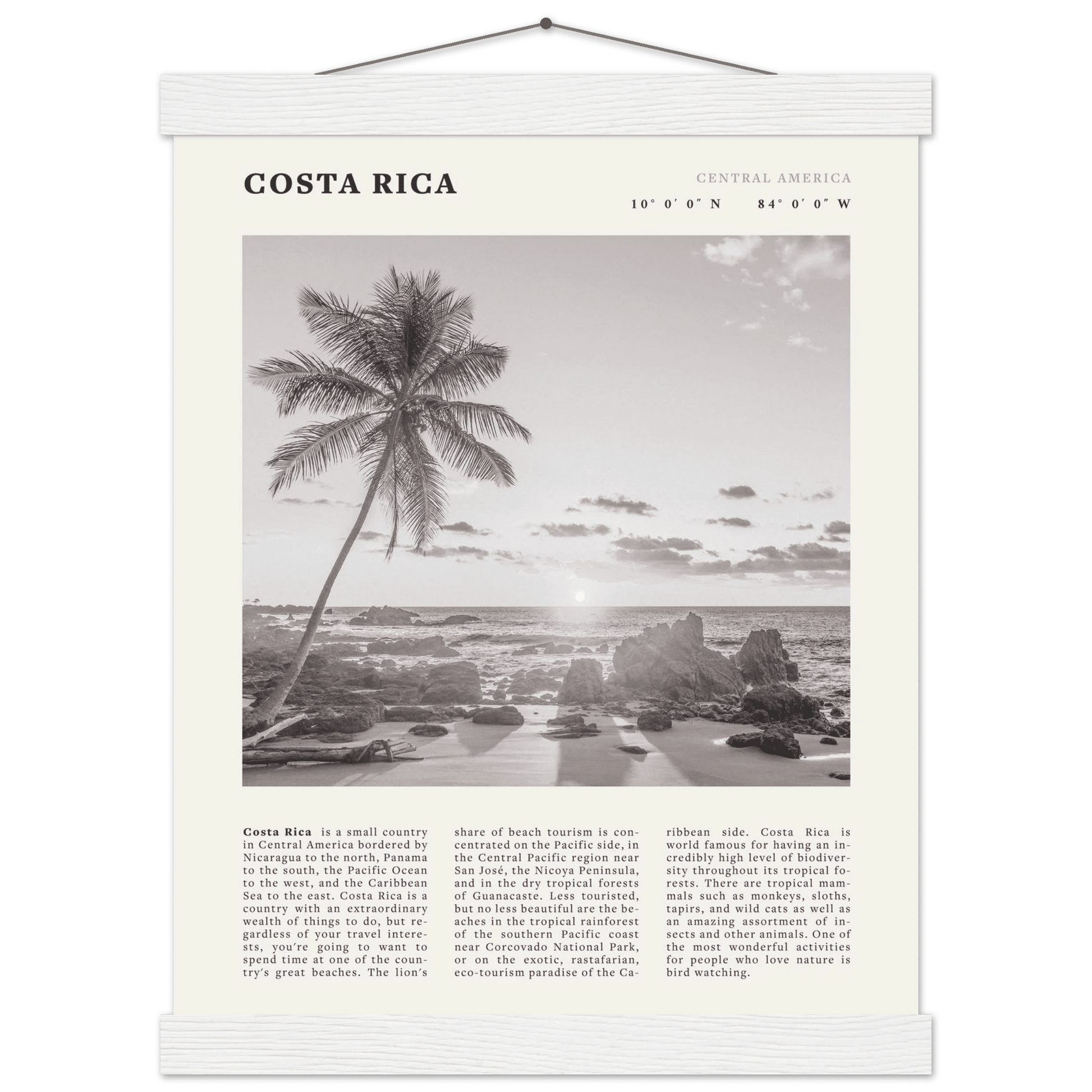 Costa Rica Poster | Black & White Palm Tree Beach Wall Art | Travel Print Decor - Evergreen Posters