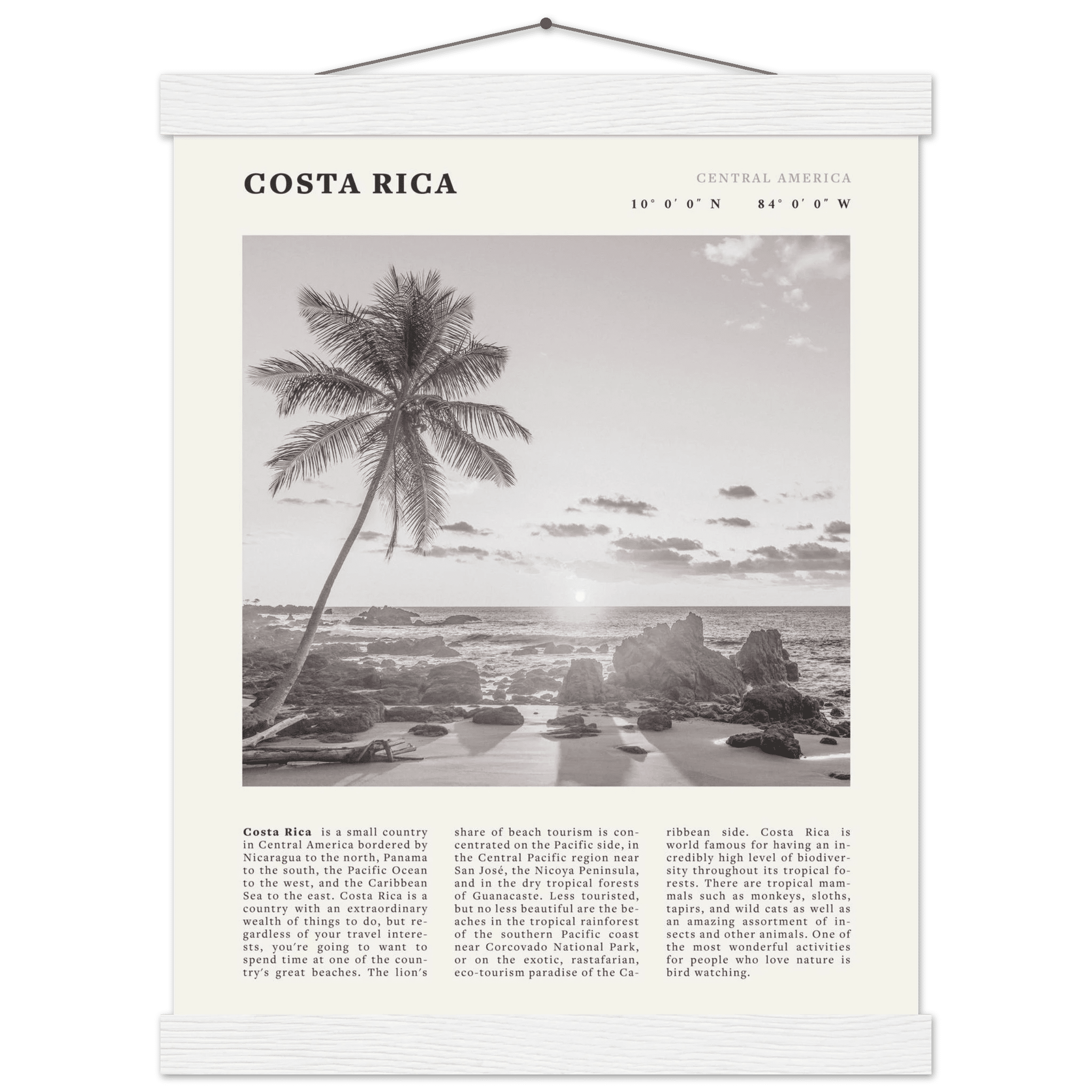 Costa Rica Poster | Black & White Palm Tree Beach Wall Art | Travel Print Decor - Evergreen Posters