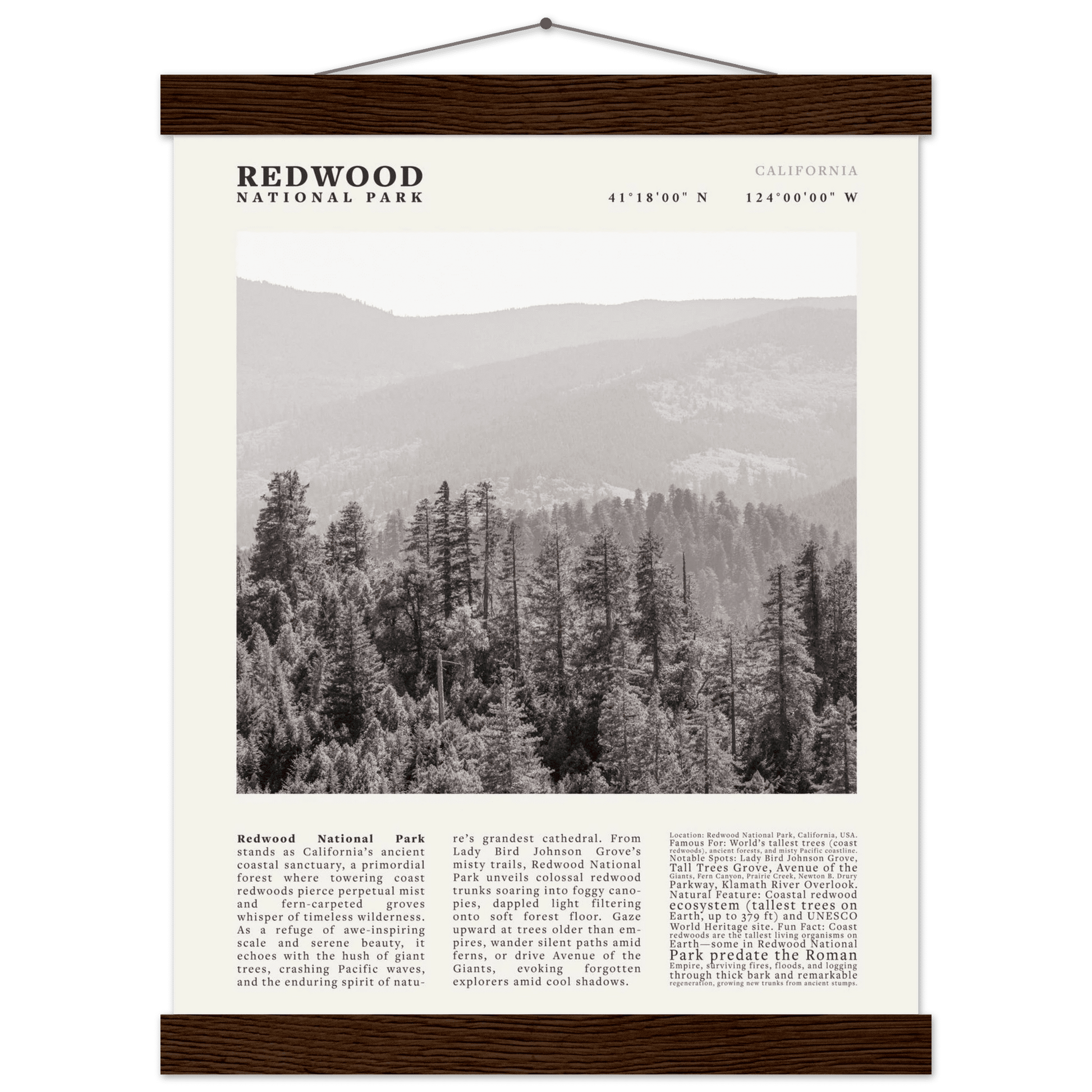 Redwood National Park Poster Black and White – Vintage Foggy Redwood Forest Print - Evergreen Posters